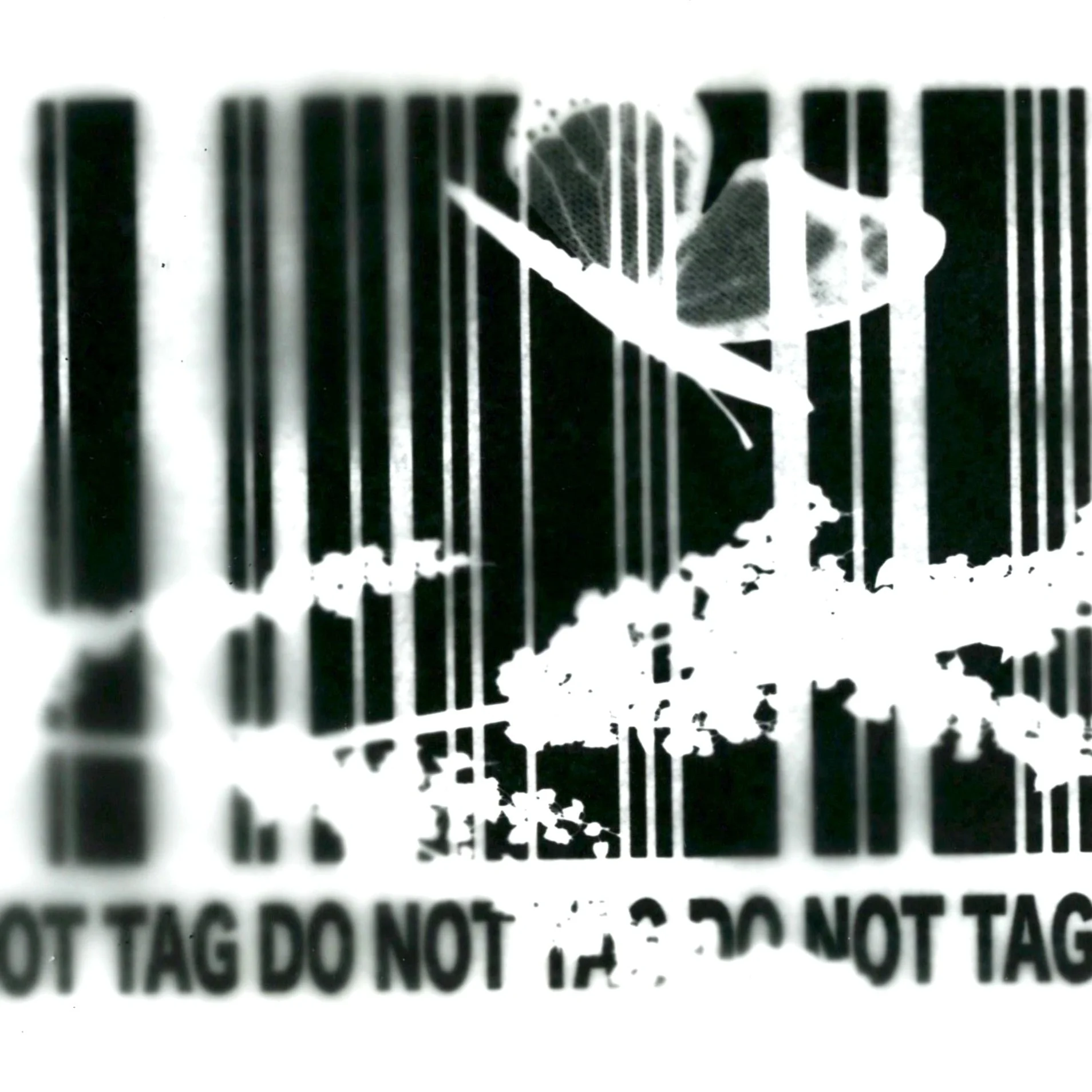 "Do Not Tag" Photogram Project