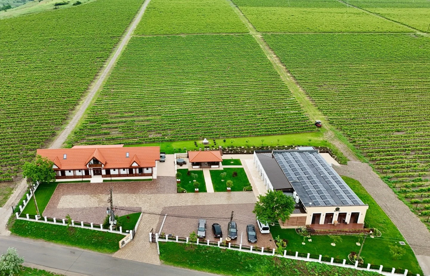 Do you plan on visiting Dealu Mare wine region in Romania 🇷🇴 ? It&rsquo;s the most sought after region for red wines and it has a rich history in winemaking, with many of the top producers finding their best parcels there. Last year I discovered th