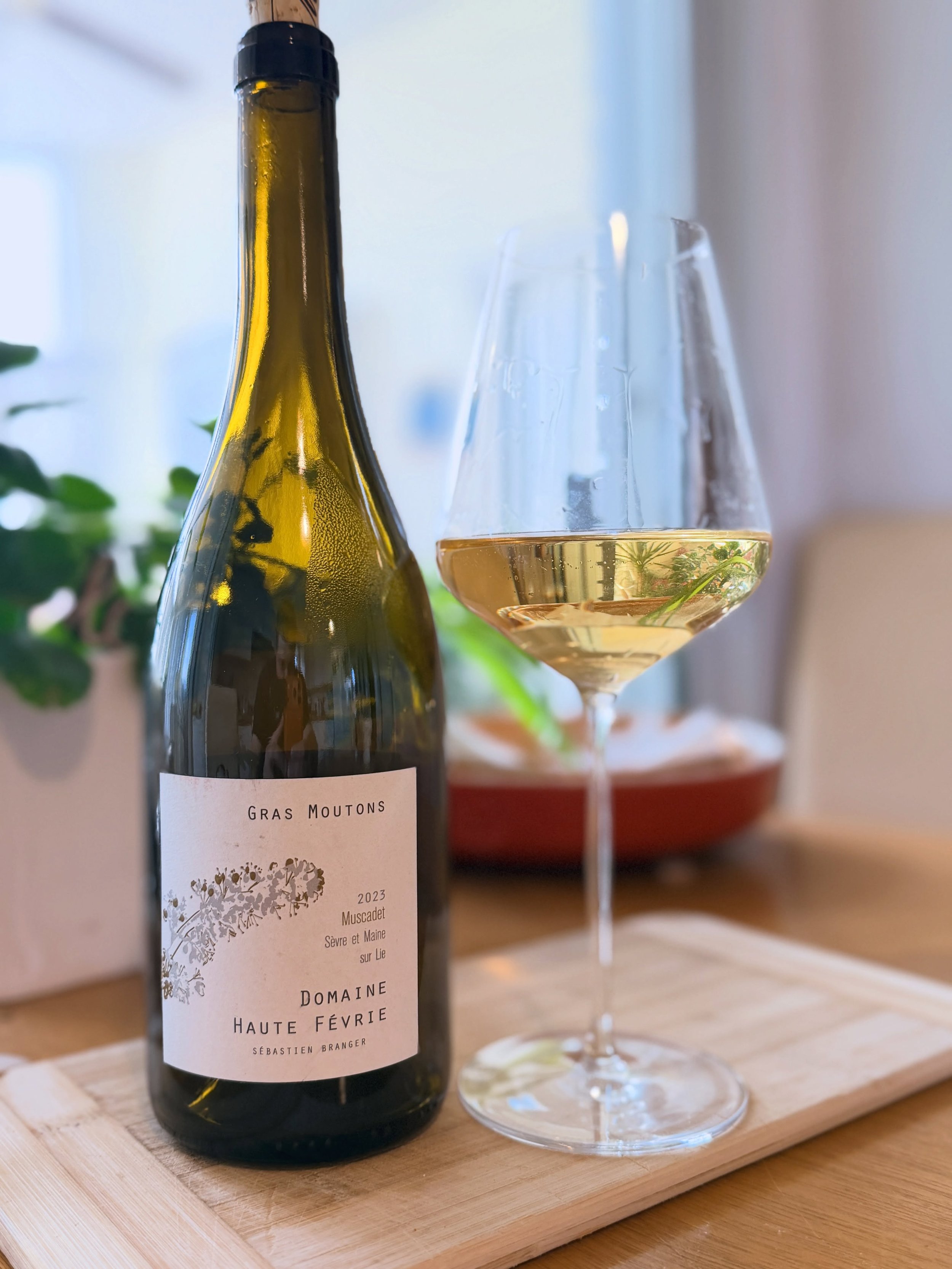 Sometimes the most underrated wines are the ones quietly expressing their terroir better than anyone else.

This 2023 &ldquo;Gras Moutons&rdquo; from Domaine Haute F&eacute;vrie￼ is a great reminder of why Muscadet deserves more attention. Located 18