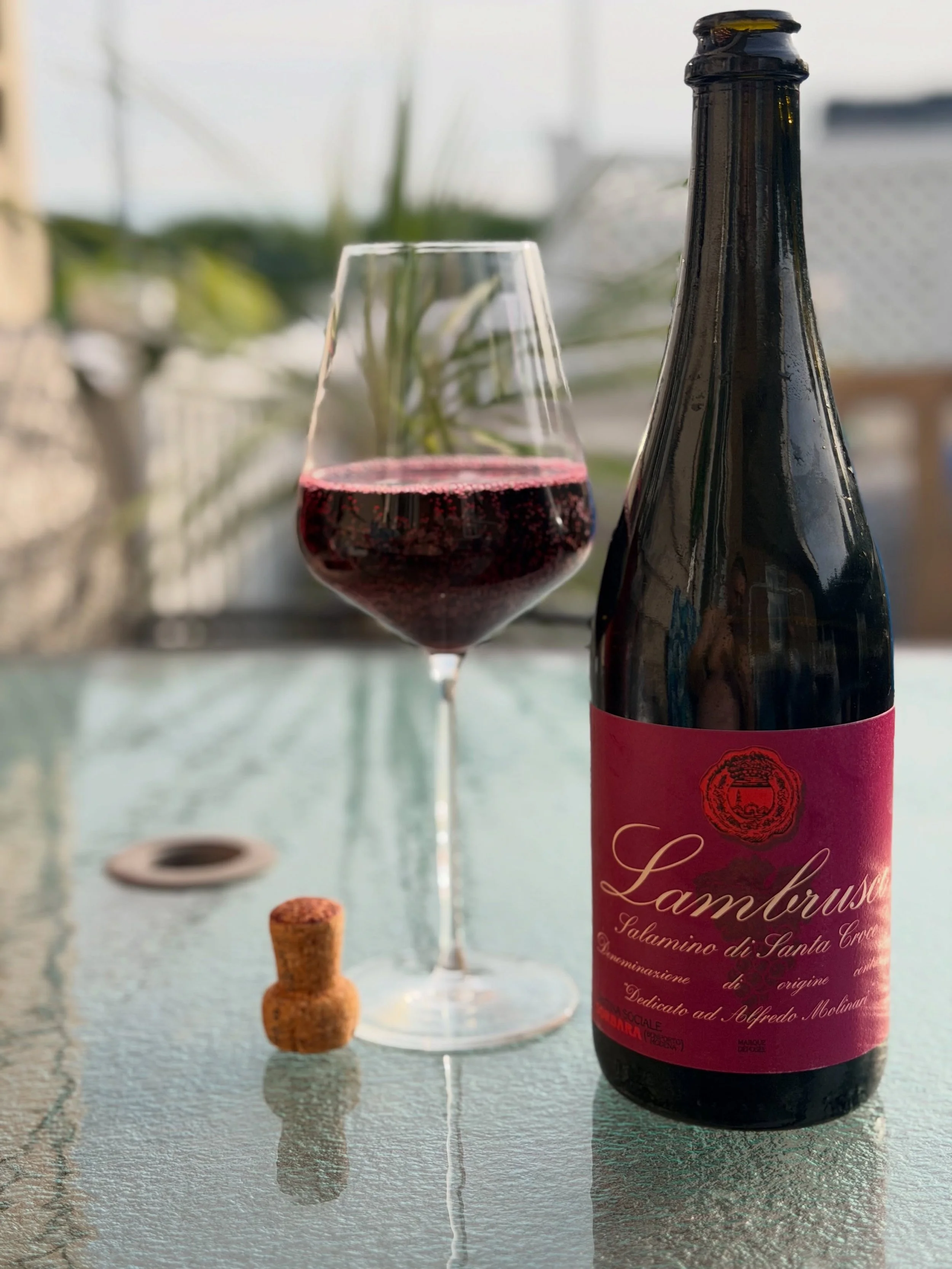 Two expressions. One family. Two personalities. 🍷

Lambrusco is far more diverse than many people imagine. Side by side, these two DOCs reveal how a single grape family can produce remarkably different styles.

🍇 Lambrusco Grasparossa di Castelvetr