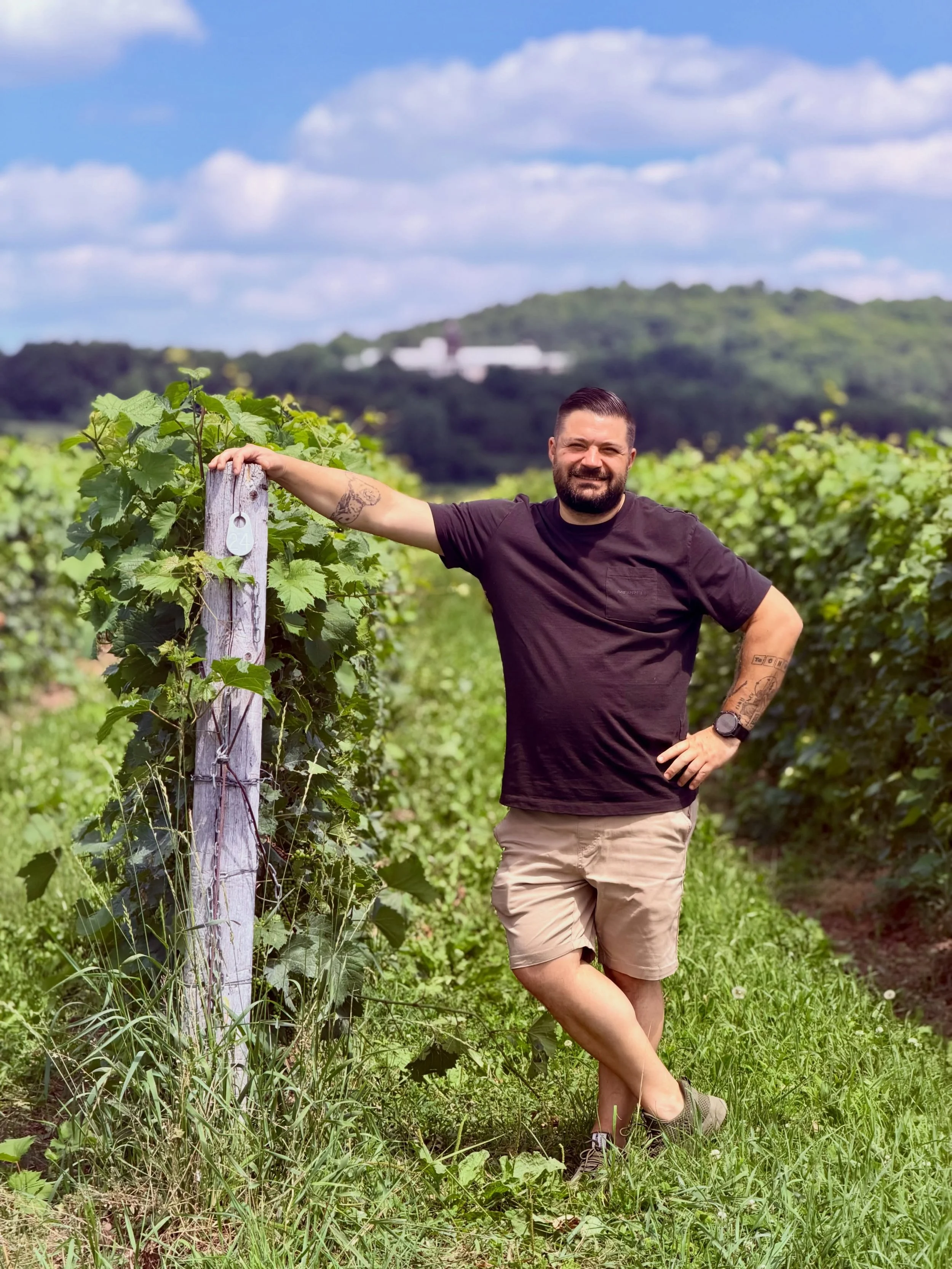 &ldquo;The best wines&mdash;and the best stories&mdash;always begin in the vineyard.&rdquo; 🍇 🍷 

#winegeek #winelover #vineyard #oenotourisme #mtlwine