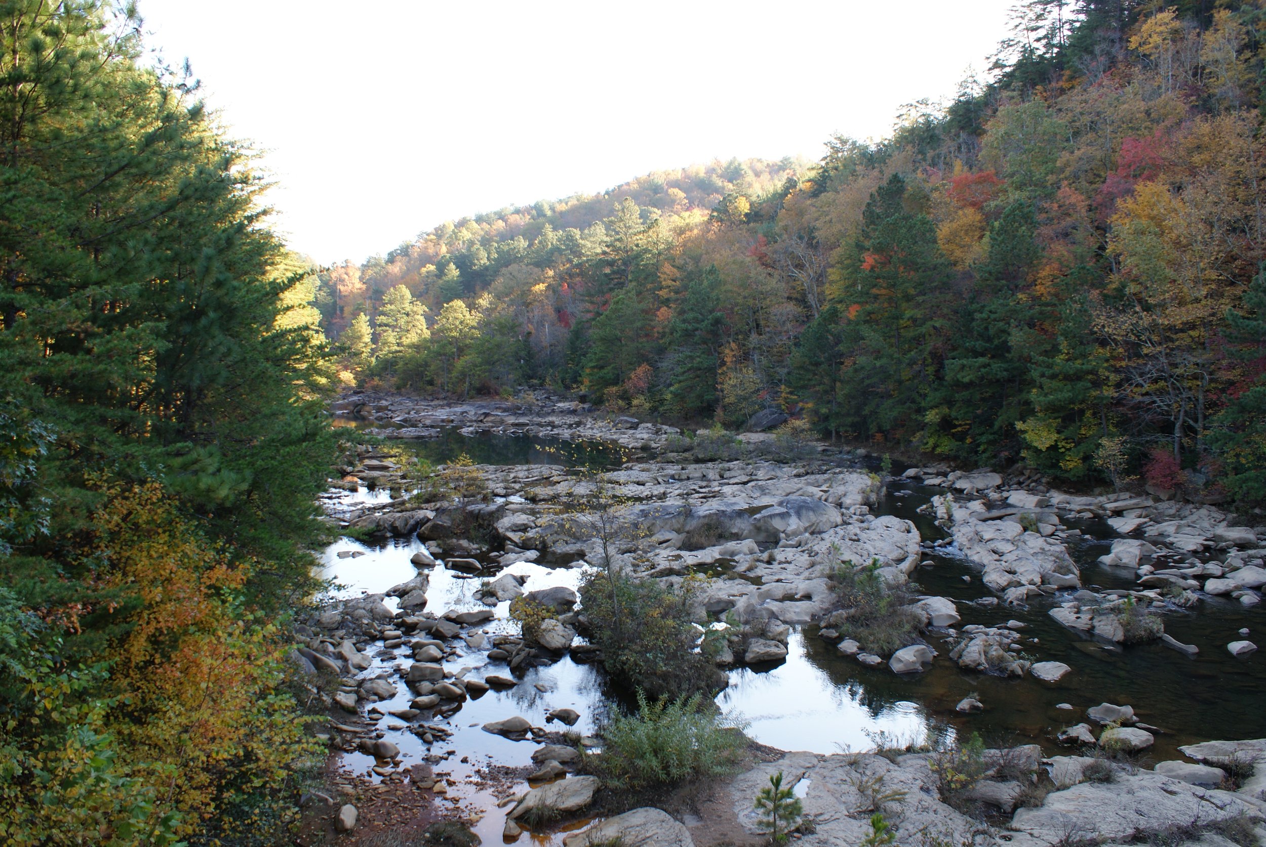 DSC03470.JPG