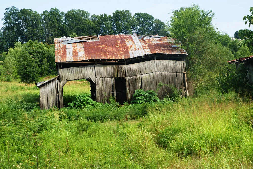 Calhoun Loop — Scenic City Backroads