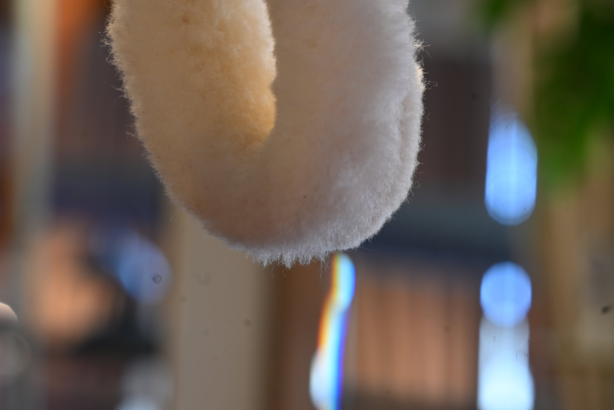DSC_8018.JPG