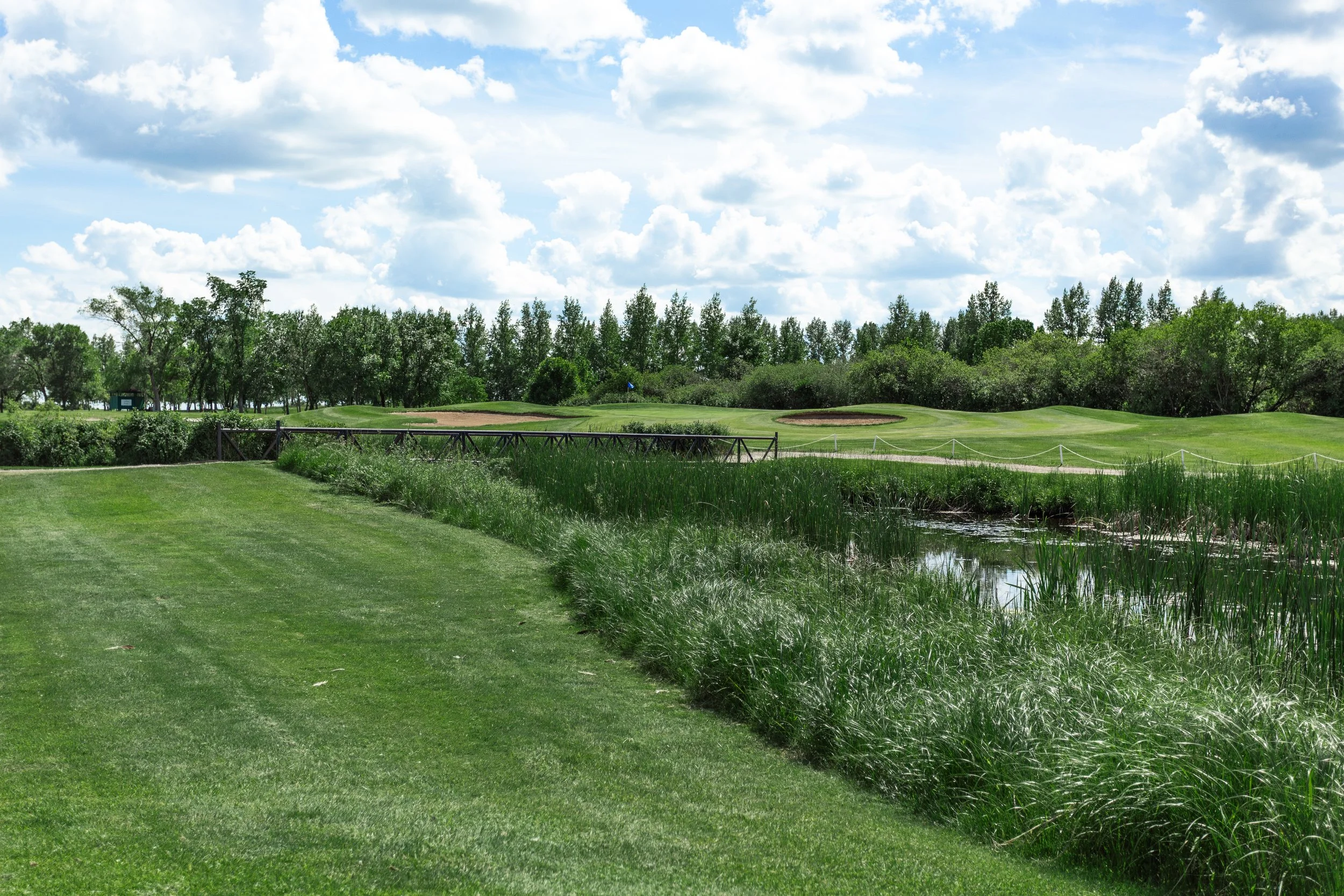 Virden Wellview