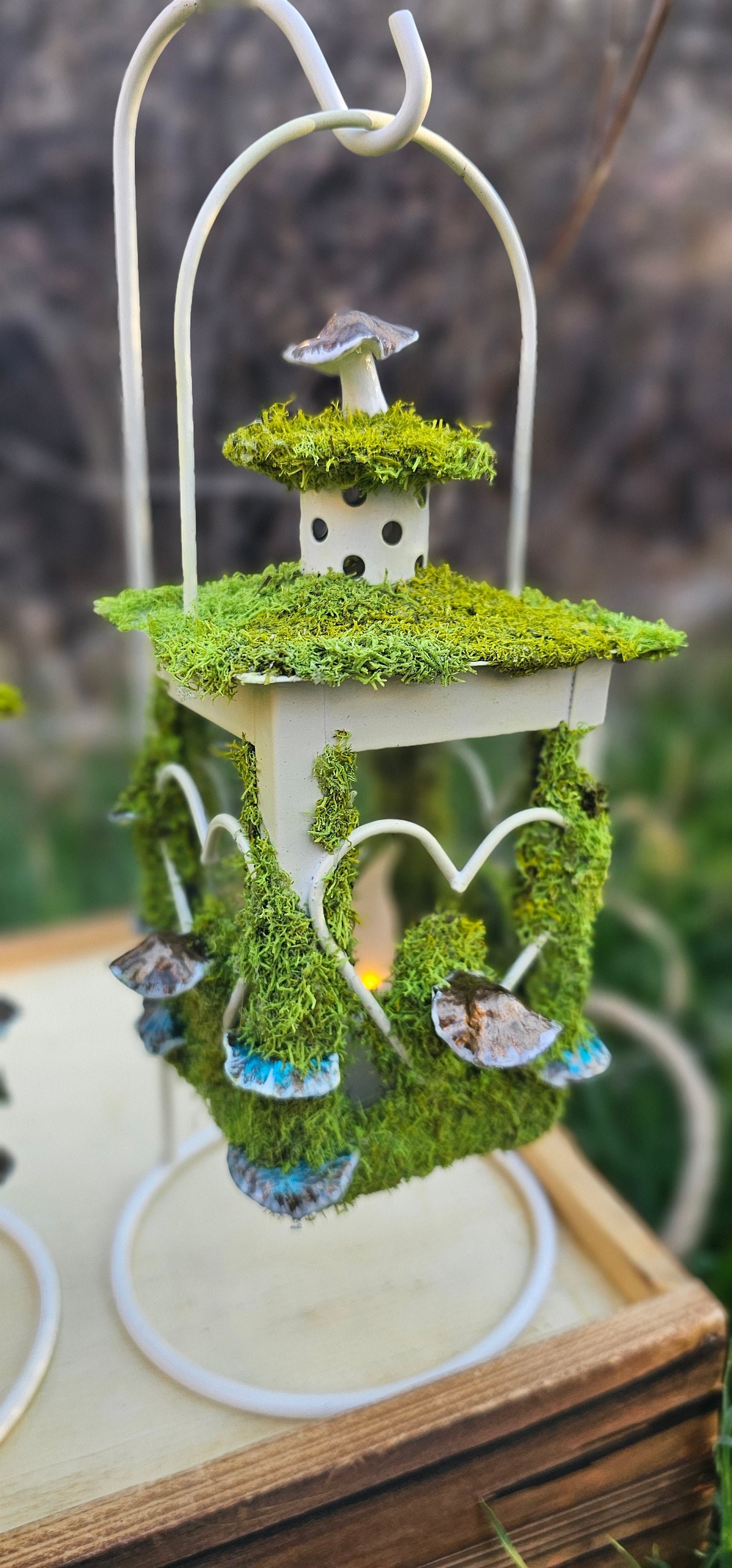 https://i.etsystatic.com/37643199/r/il/f64eb8/5889667390/il_fullxfull.5889667390_d840.jpg