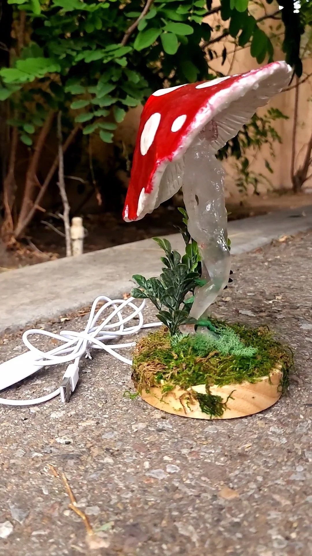 VideoCapture_20230829-122225.jpg