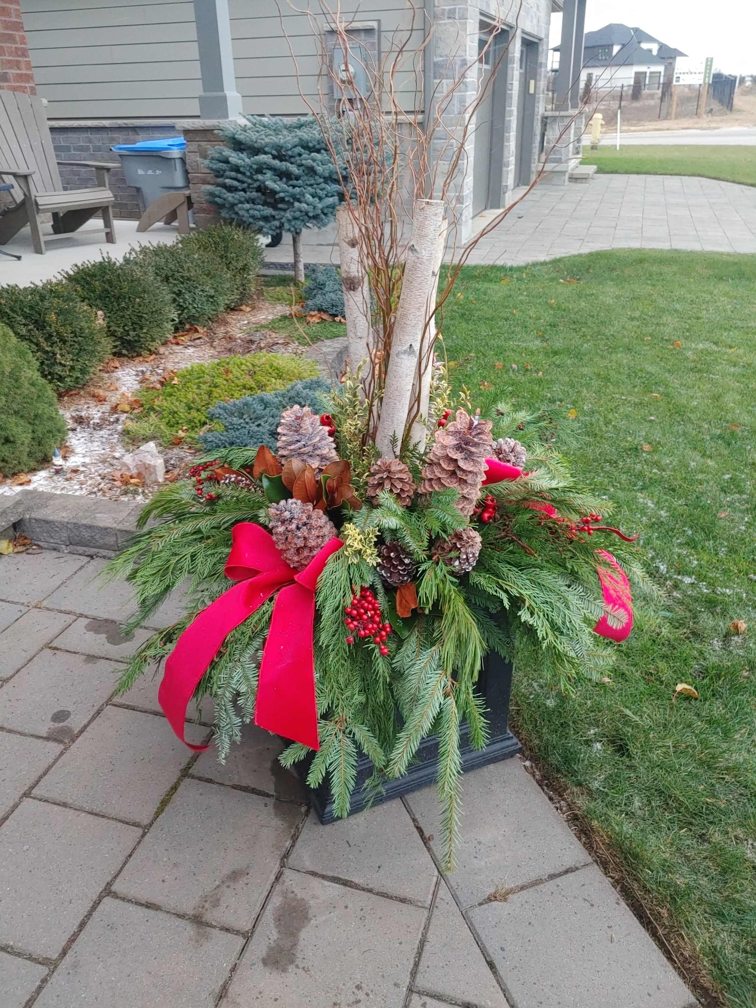 20251128_162103_HDR.jpg