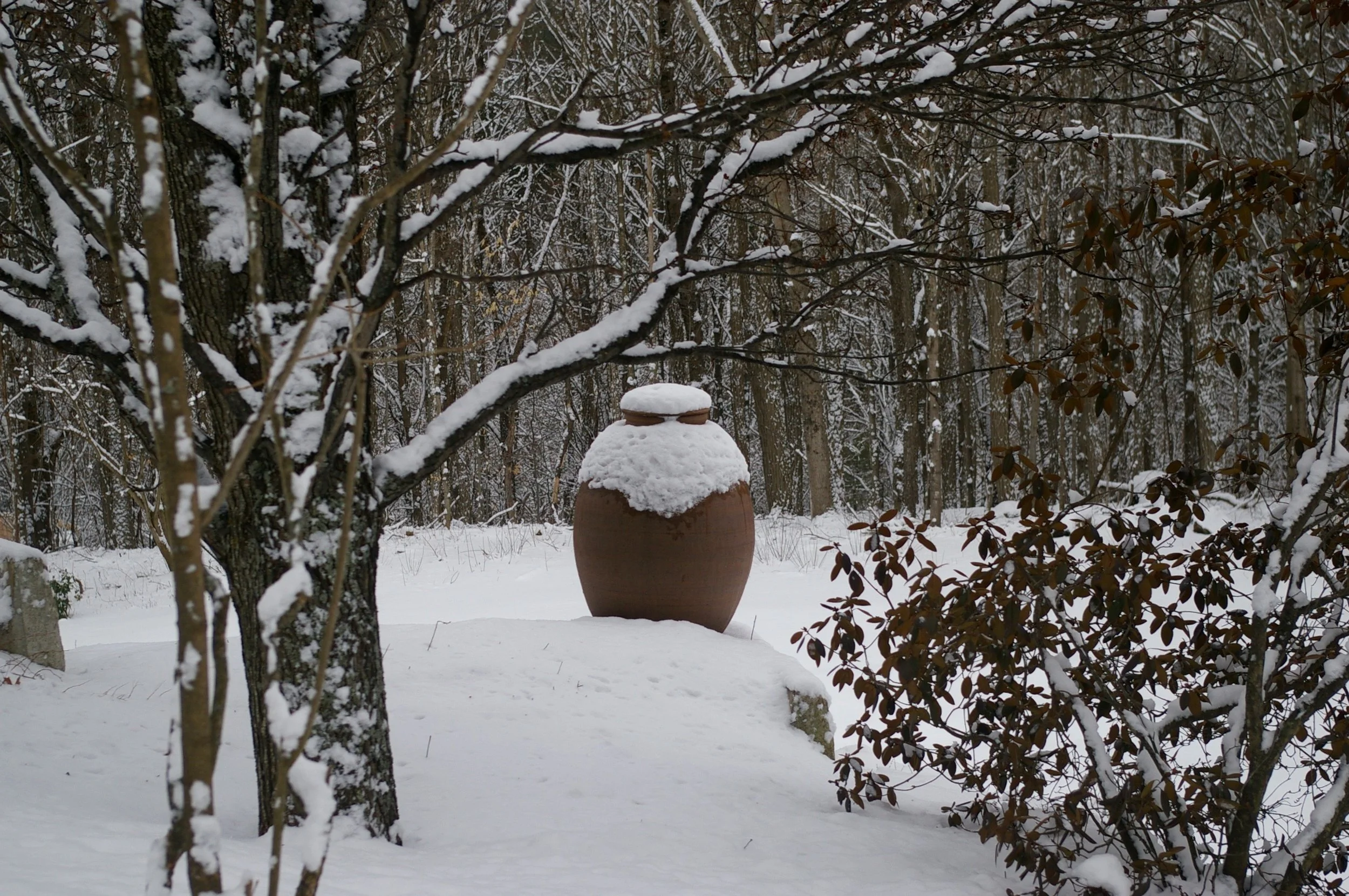 Snow-covered clay vase in winter forest surrounded by leafless trees and shrubs.