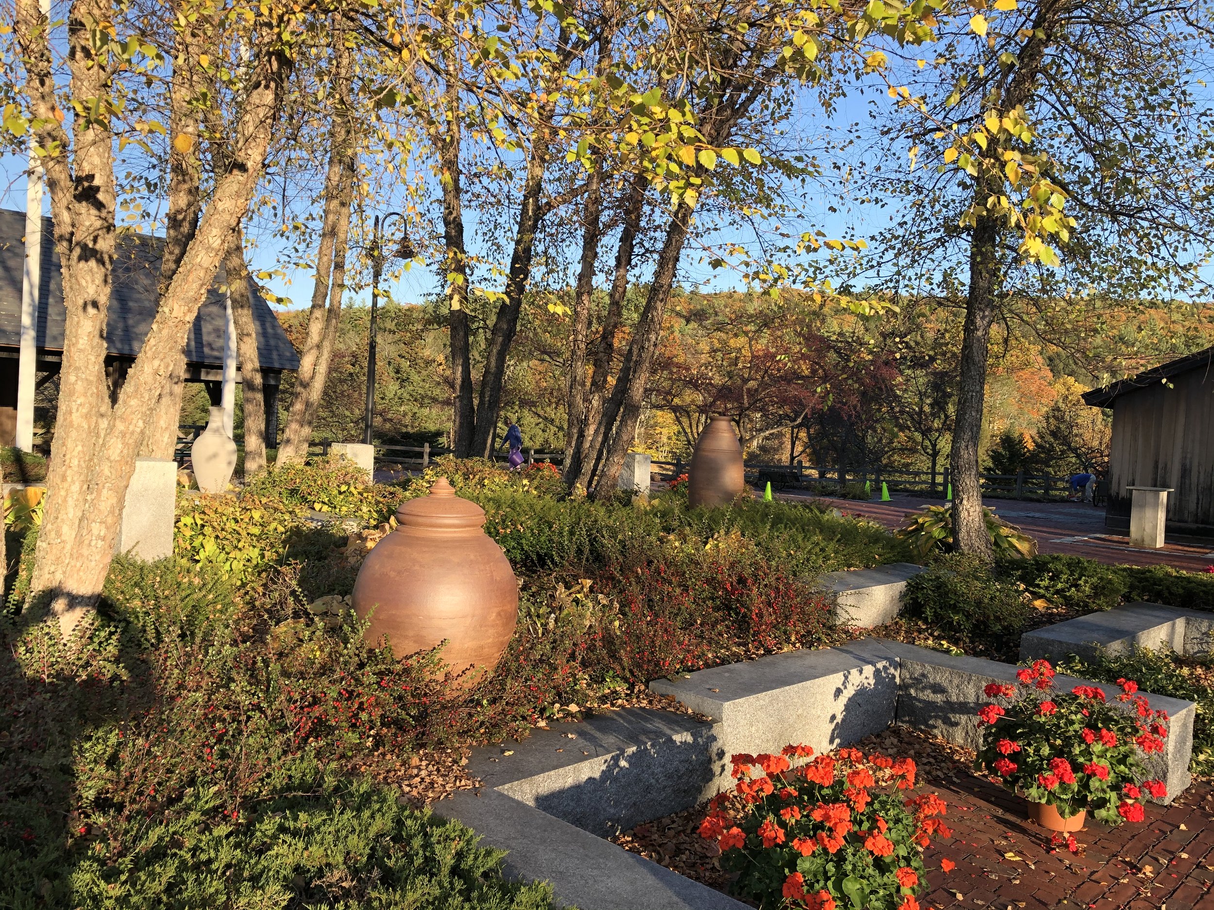 Autumn garden with terracotta pots, red flowers, and trees with golden leaves at Welcome Center Gardens.