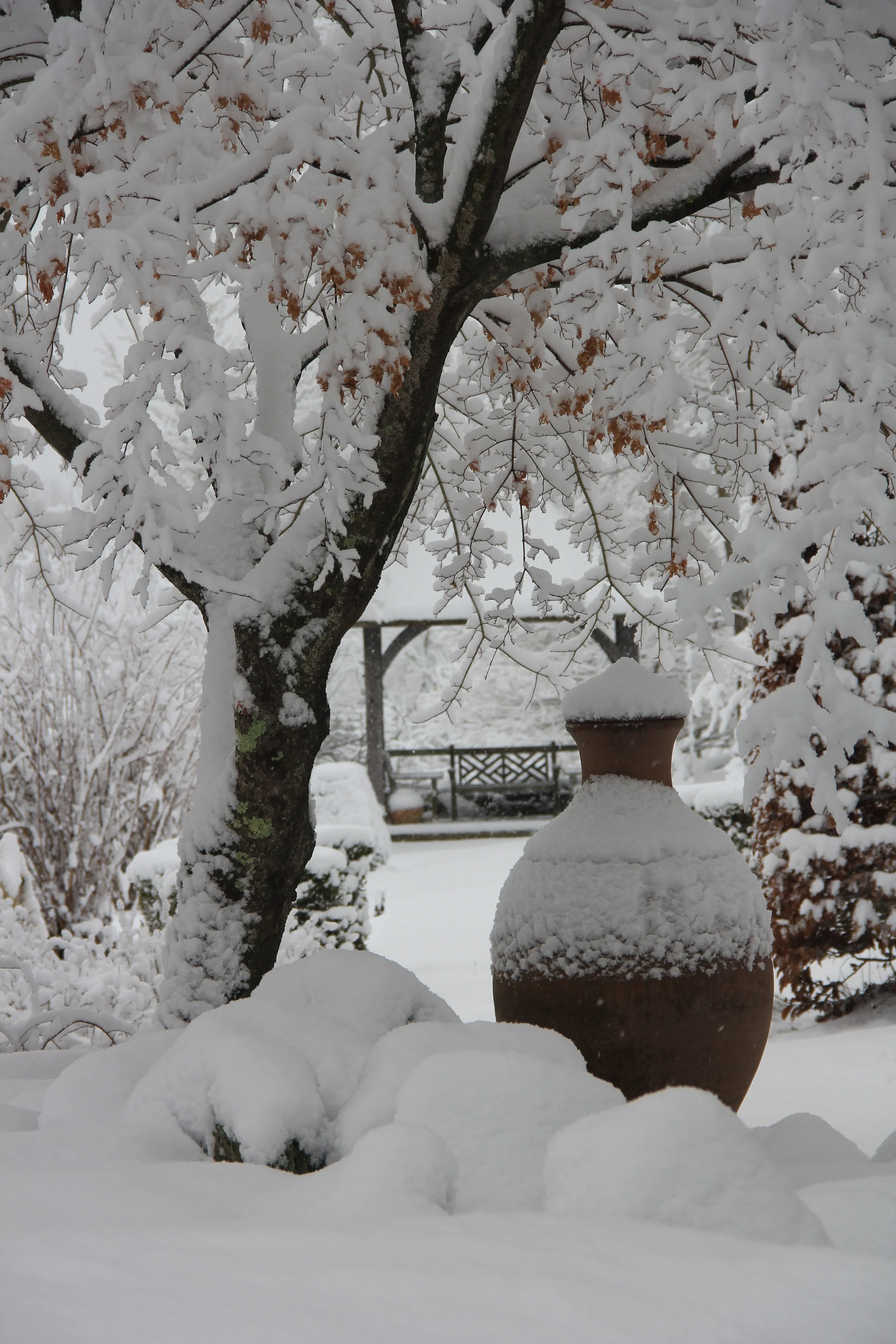 Layers in snow (Hayward Gardens).JPG
