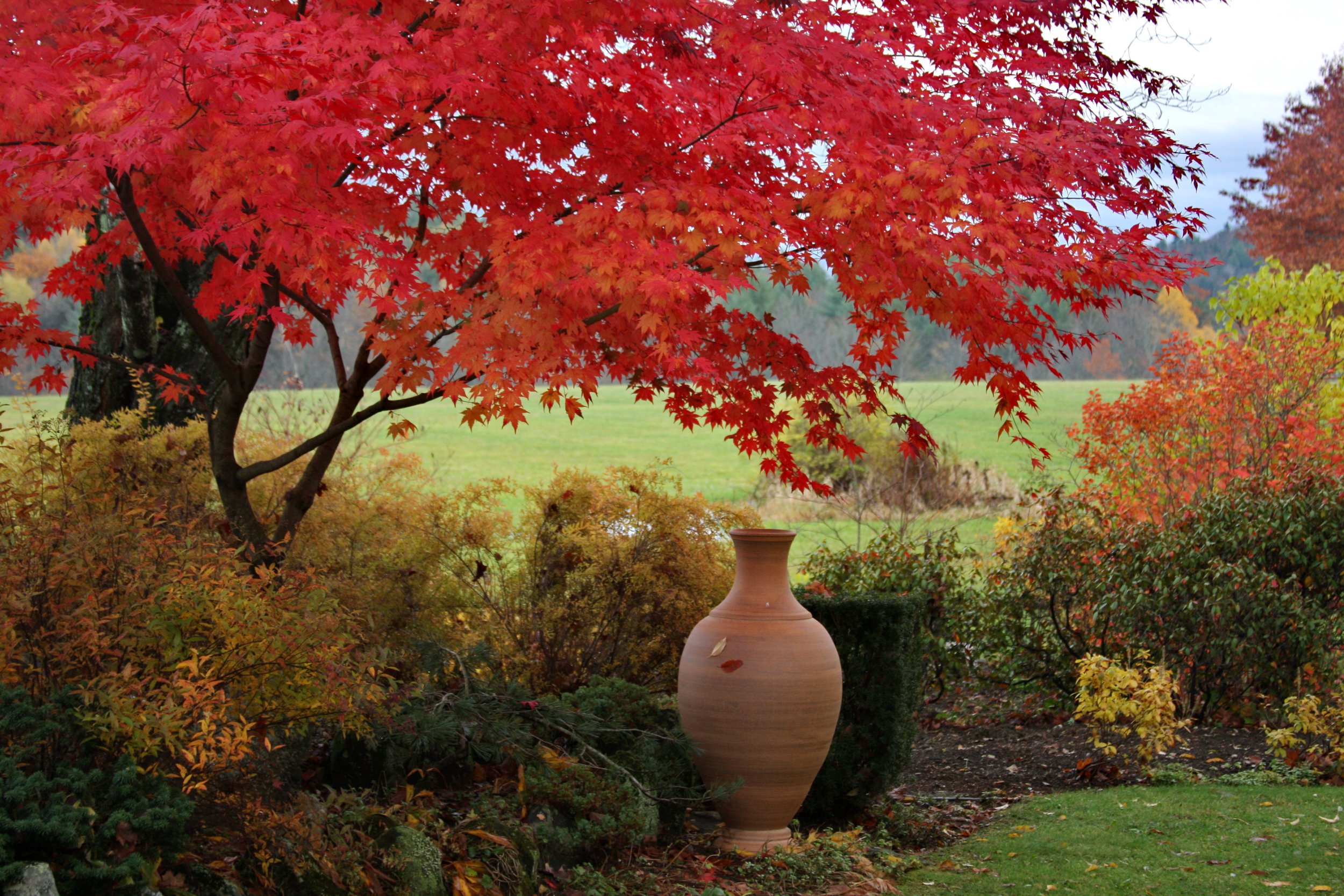 Garden Vessels in Four Seasons 