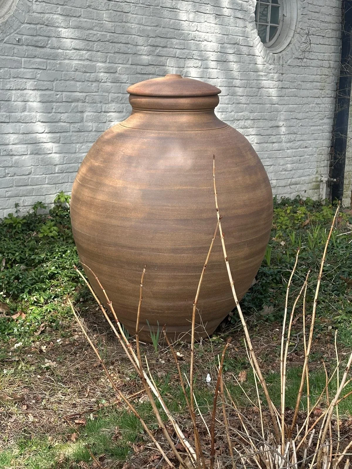 WhatsApp Image 2026-04-13 at 07.04.02 (2).jpeg