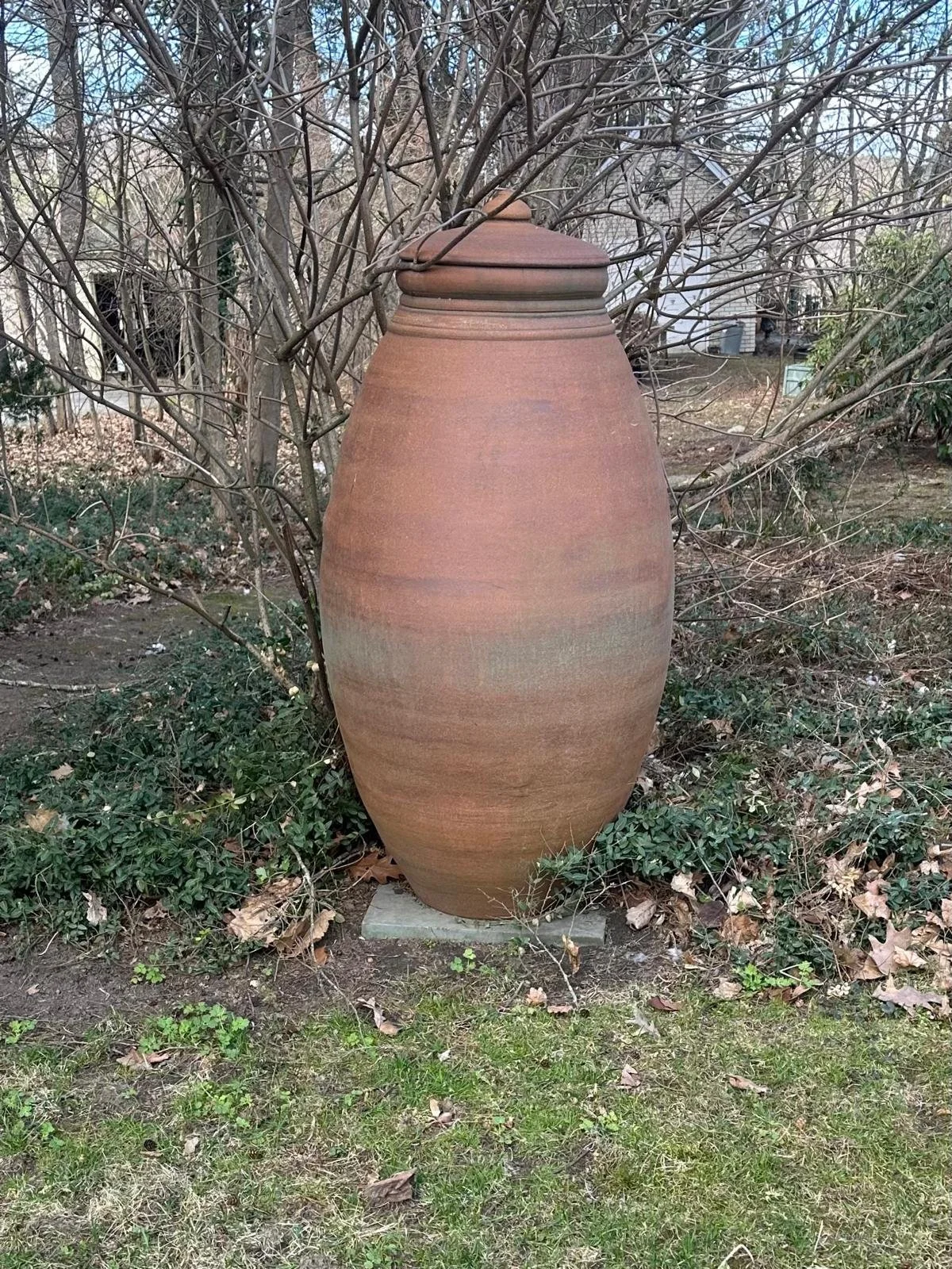 WhatsApp Image 2026-04-13 at 07.04.59.jpeg