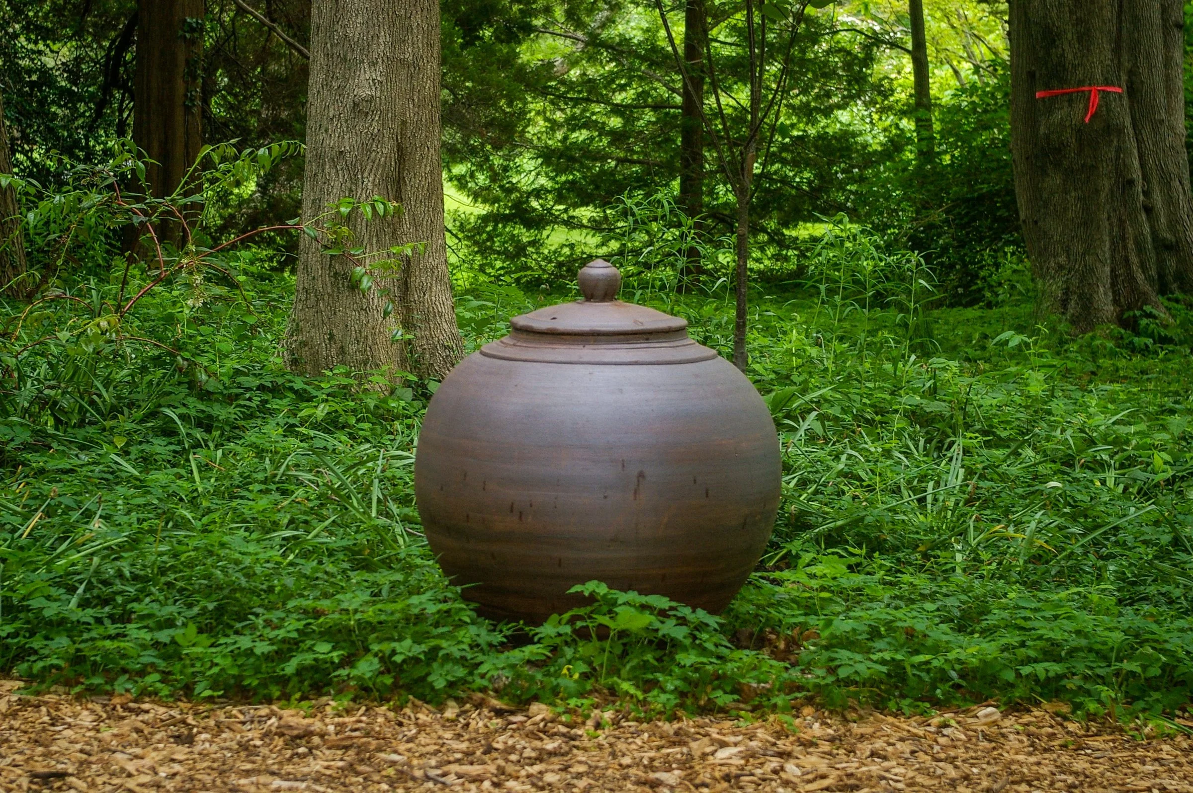 Large rounded ceramic vessel with lid placed directly on ground among garden plants