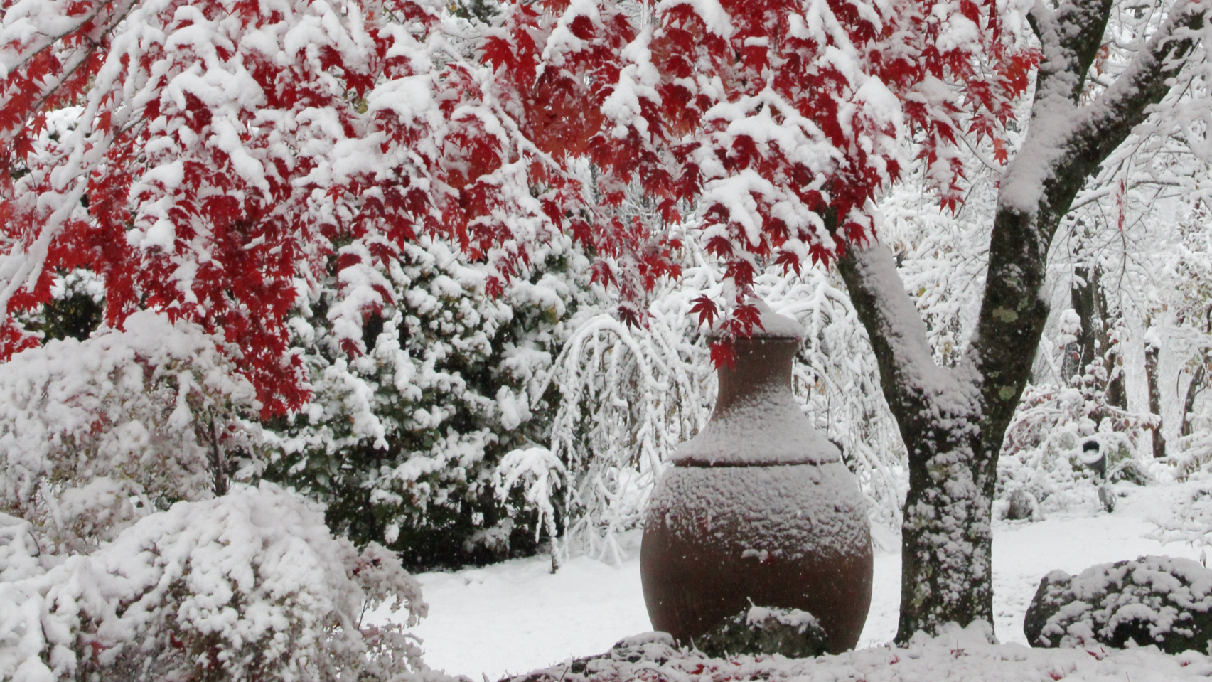 Large brown ceramic vase displayed outdoors in snowy garden with red‑leafed tree and snow‑covered shrubs