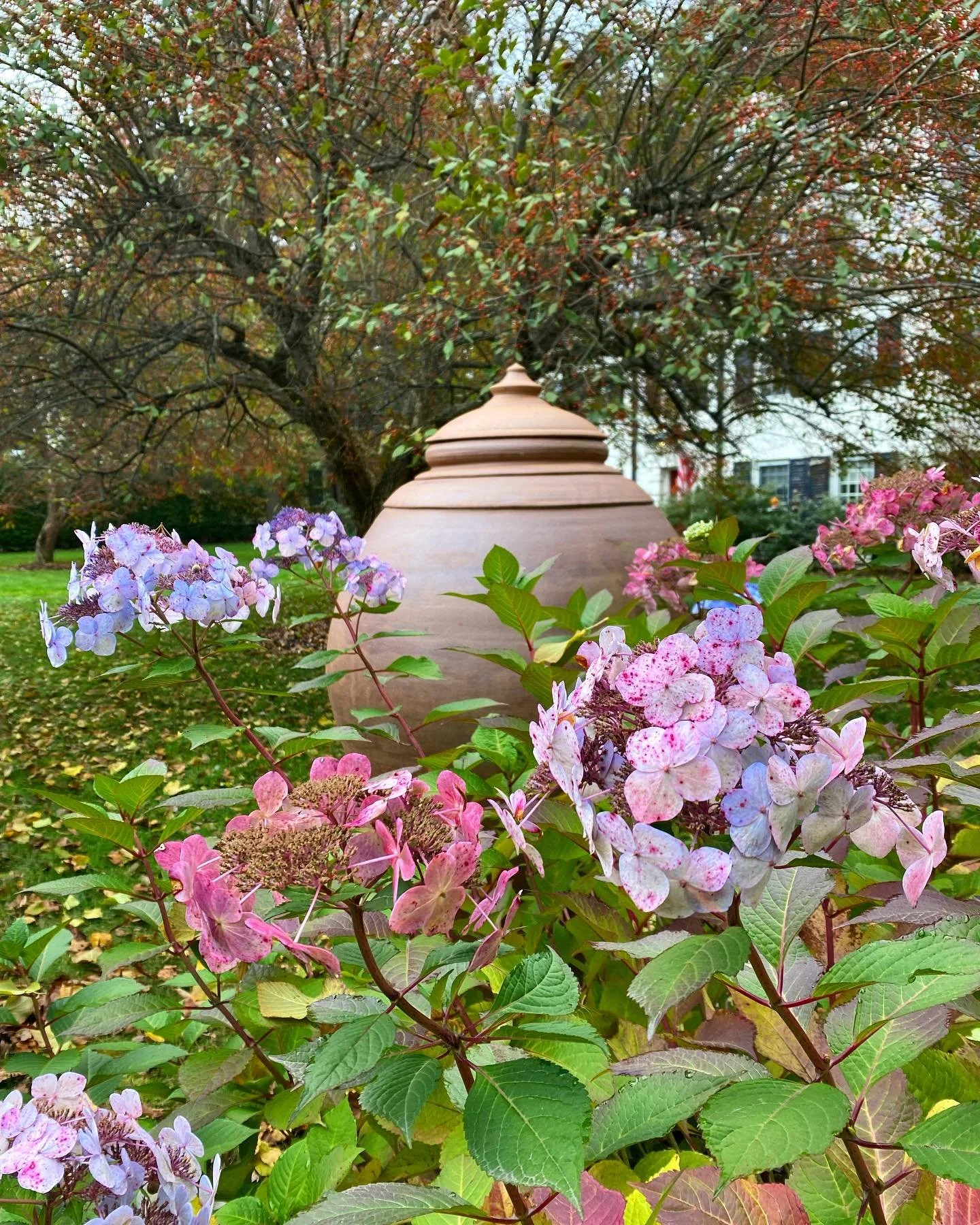Pots In Nature