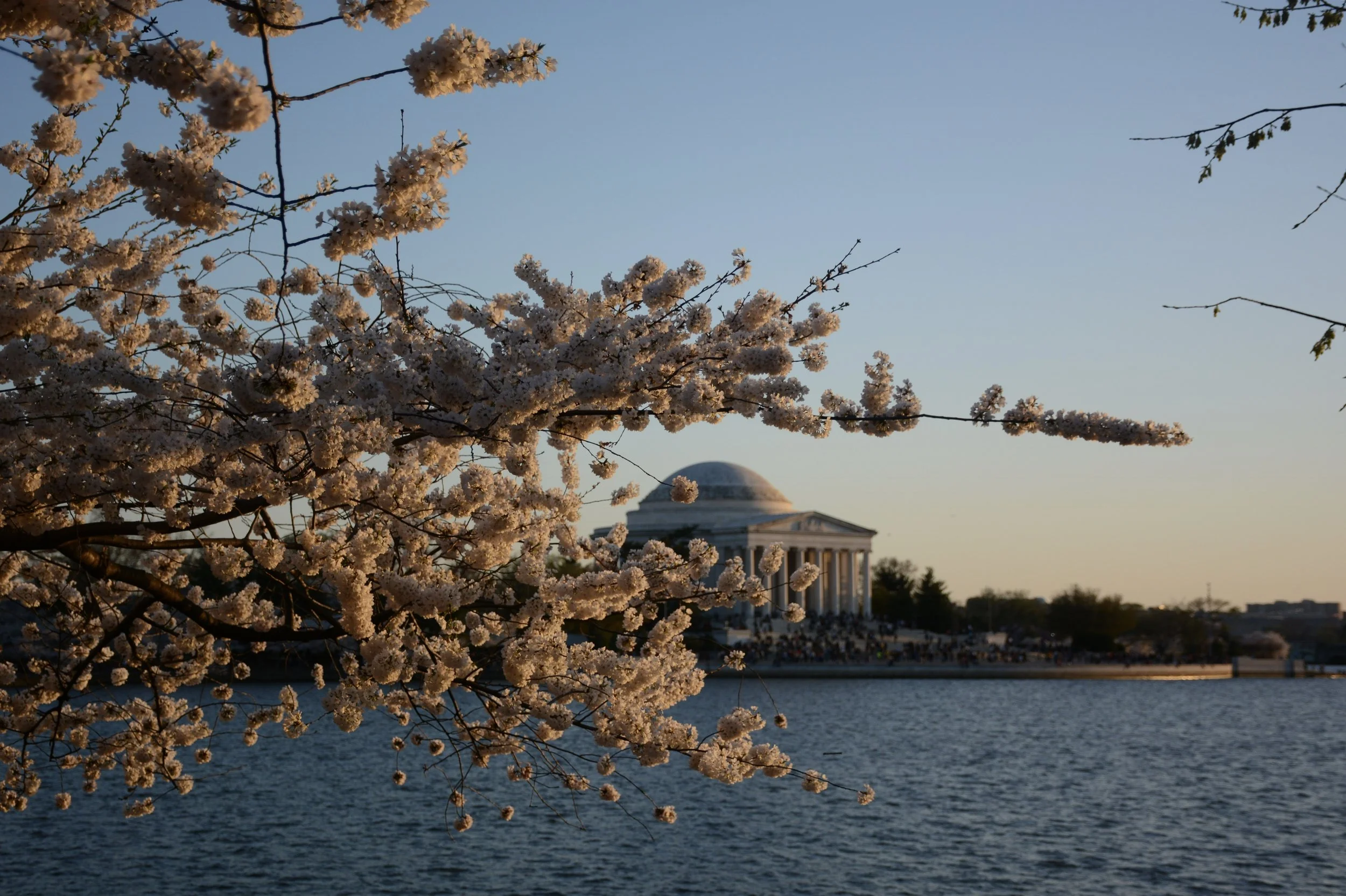EA0FE90D-7ADA-4BC0-9E42-22EC45078646.jpeg