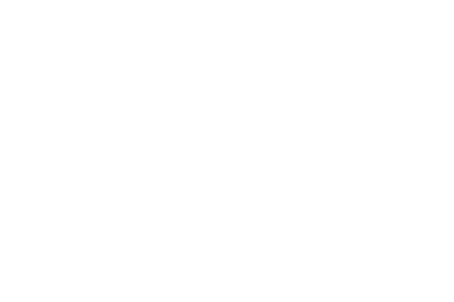 lara vukson logo transparent background for McL.png