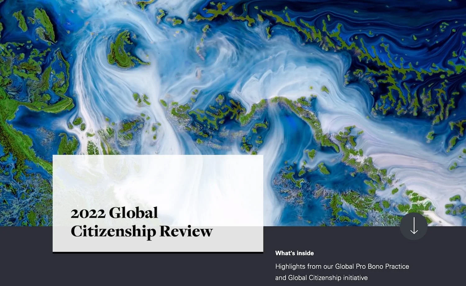 White &amp; Case: Digital ESG review