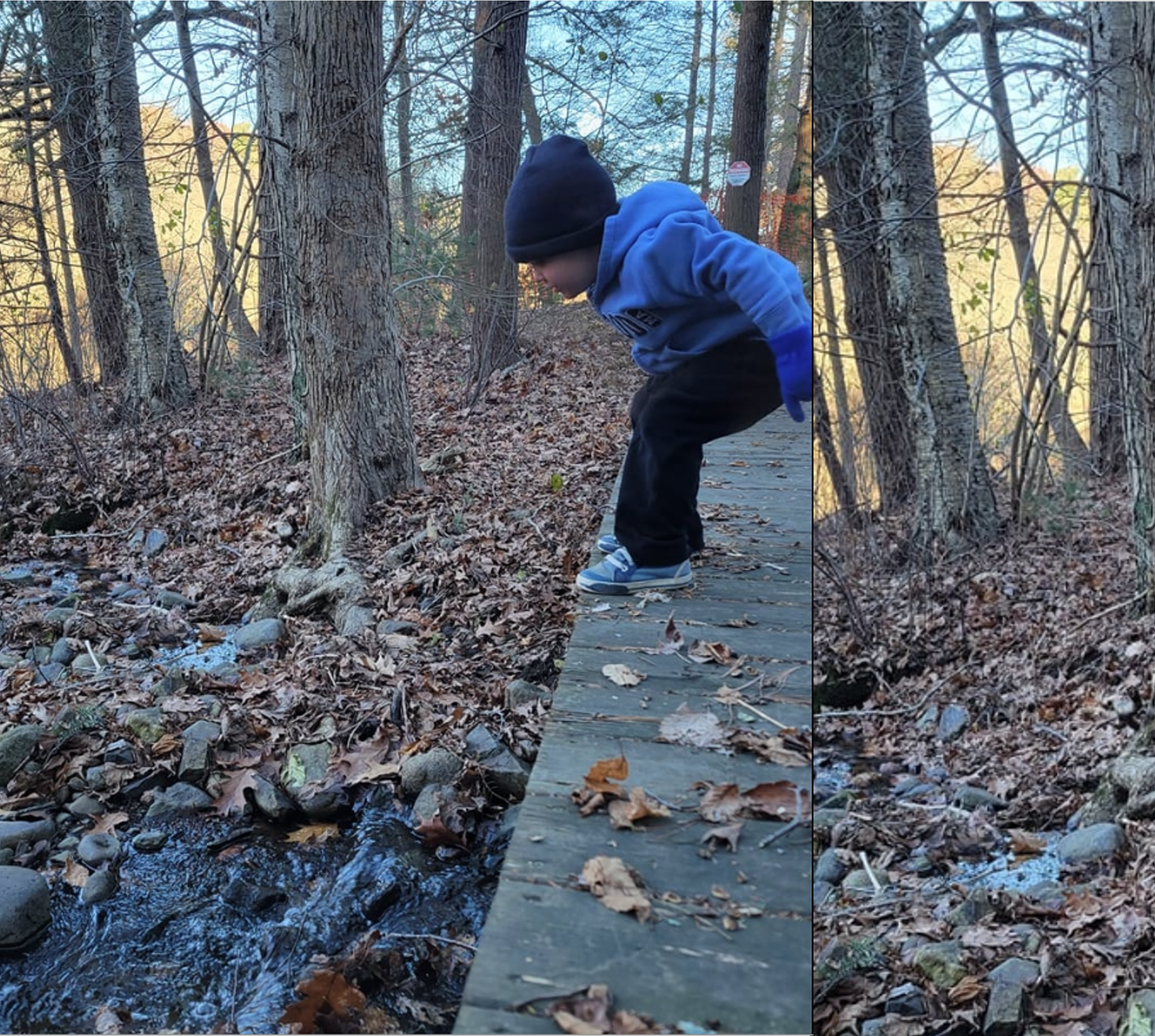 First Hike Walpole 2026!