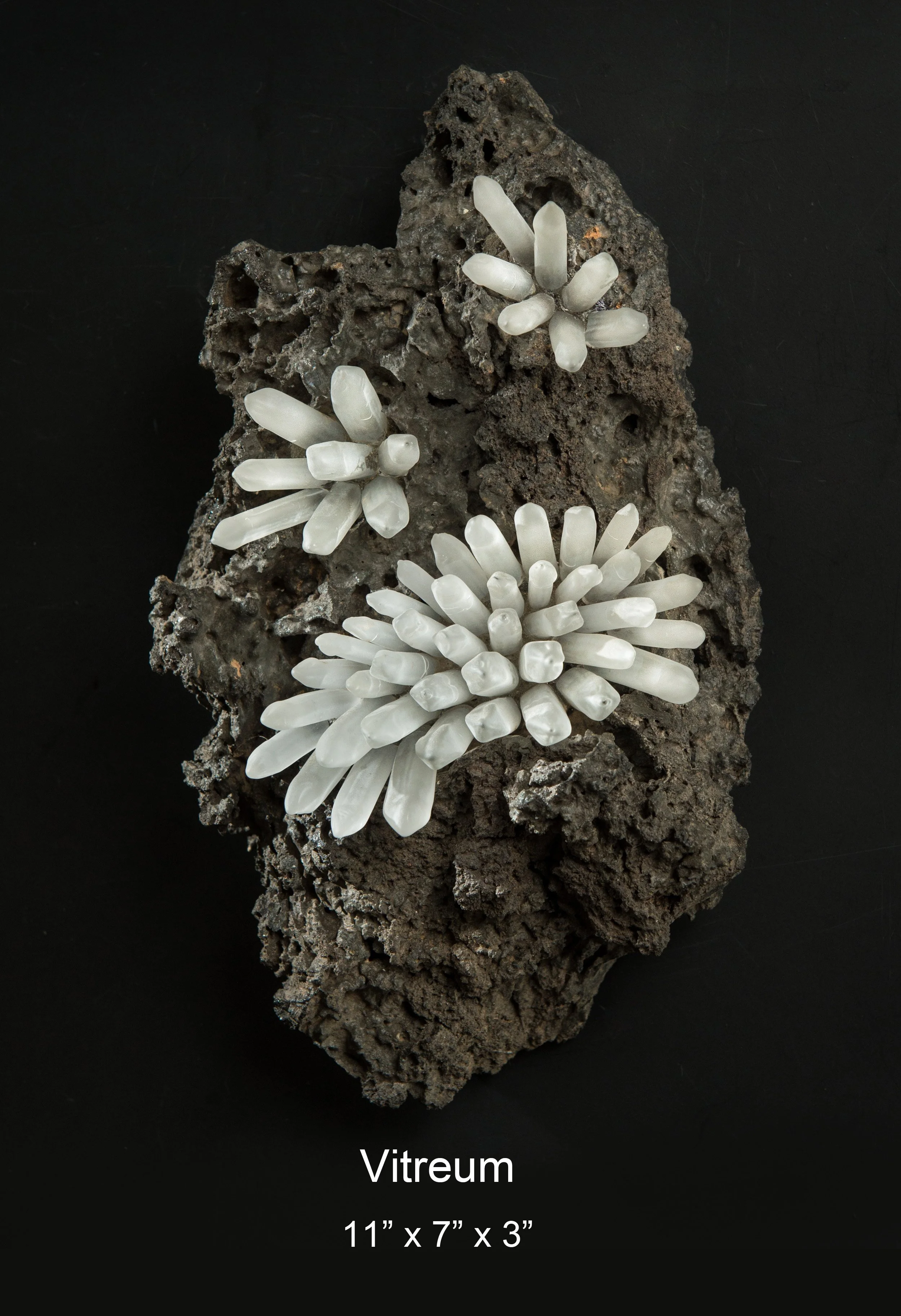 Dennis Robert-Vitreum.jpg