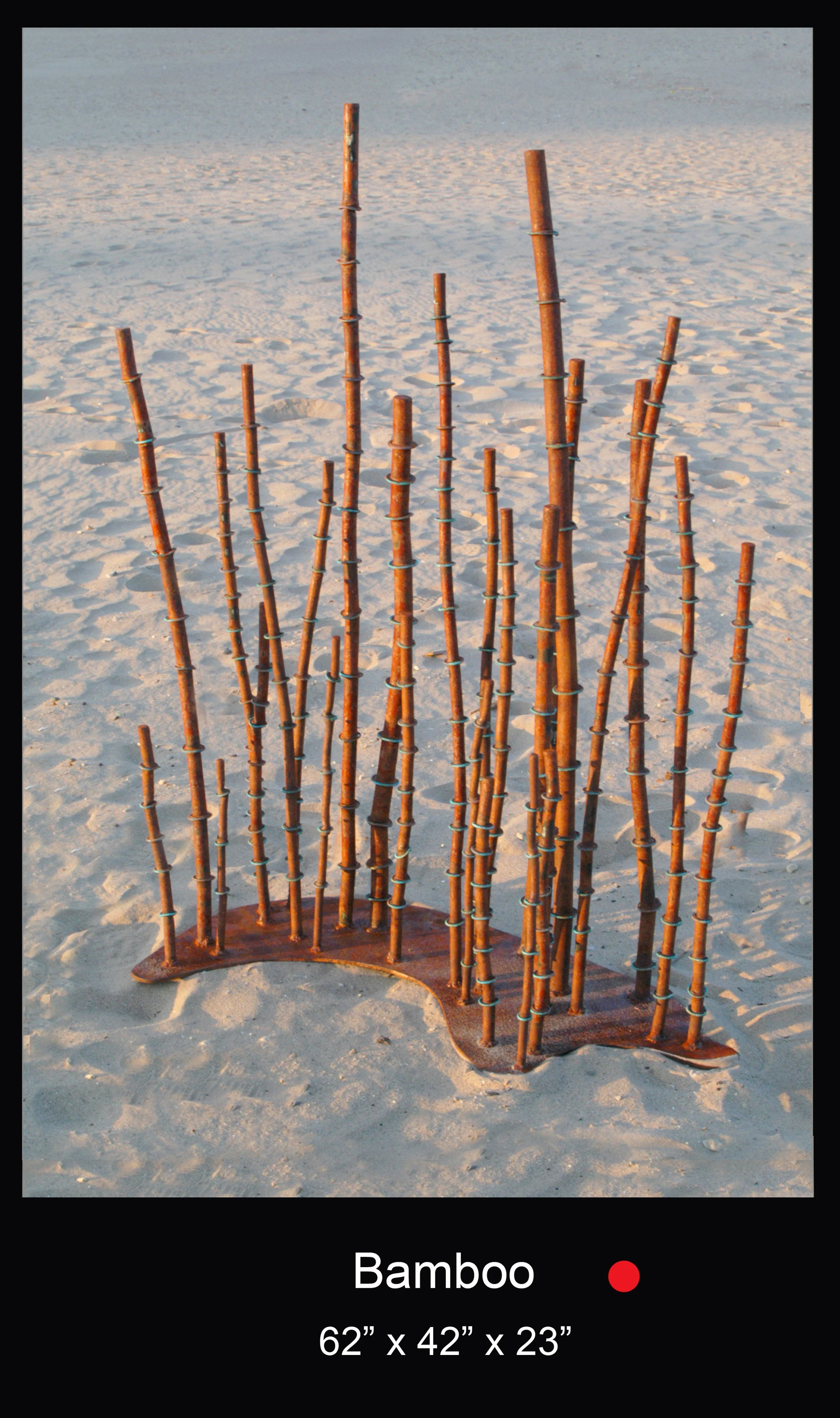 Dennis Robert-Bamboo.jpg