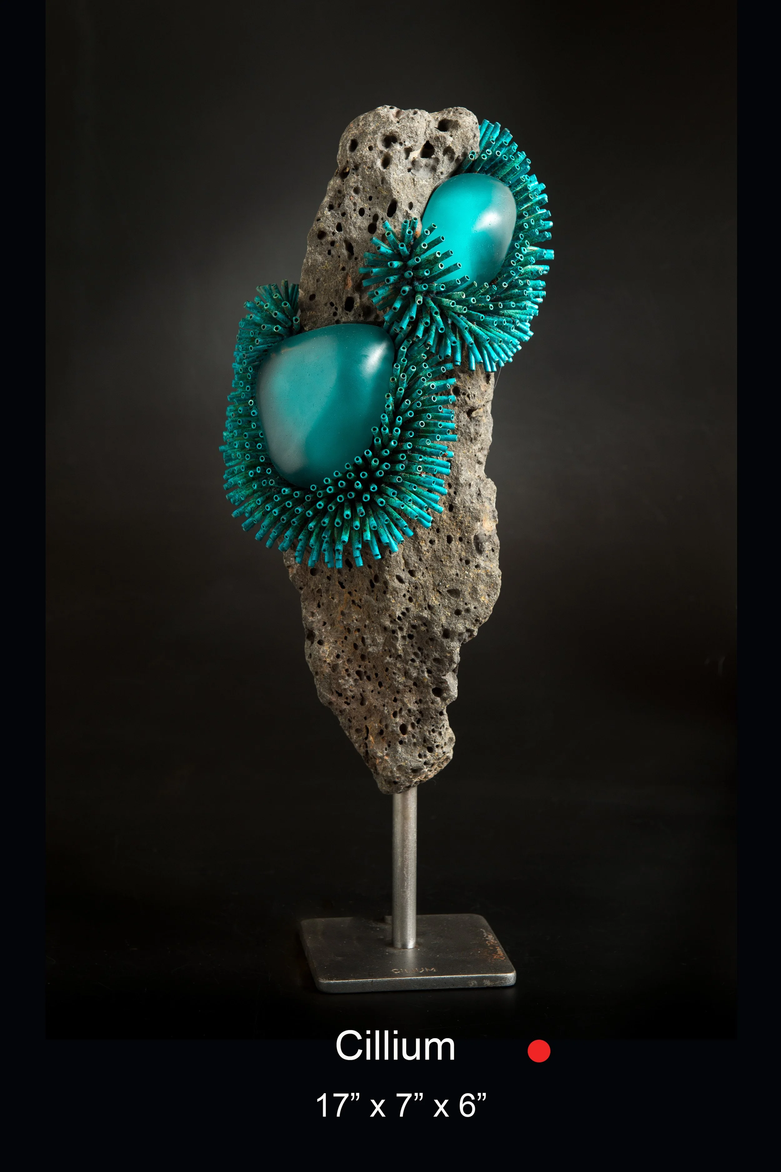 Dennis Robert-Cillium.jpg