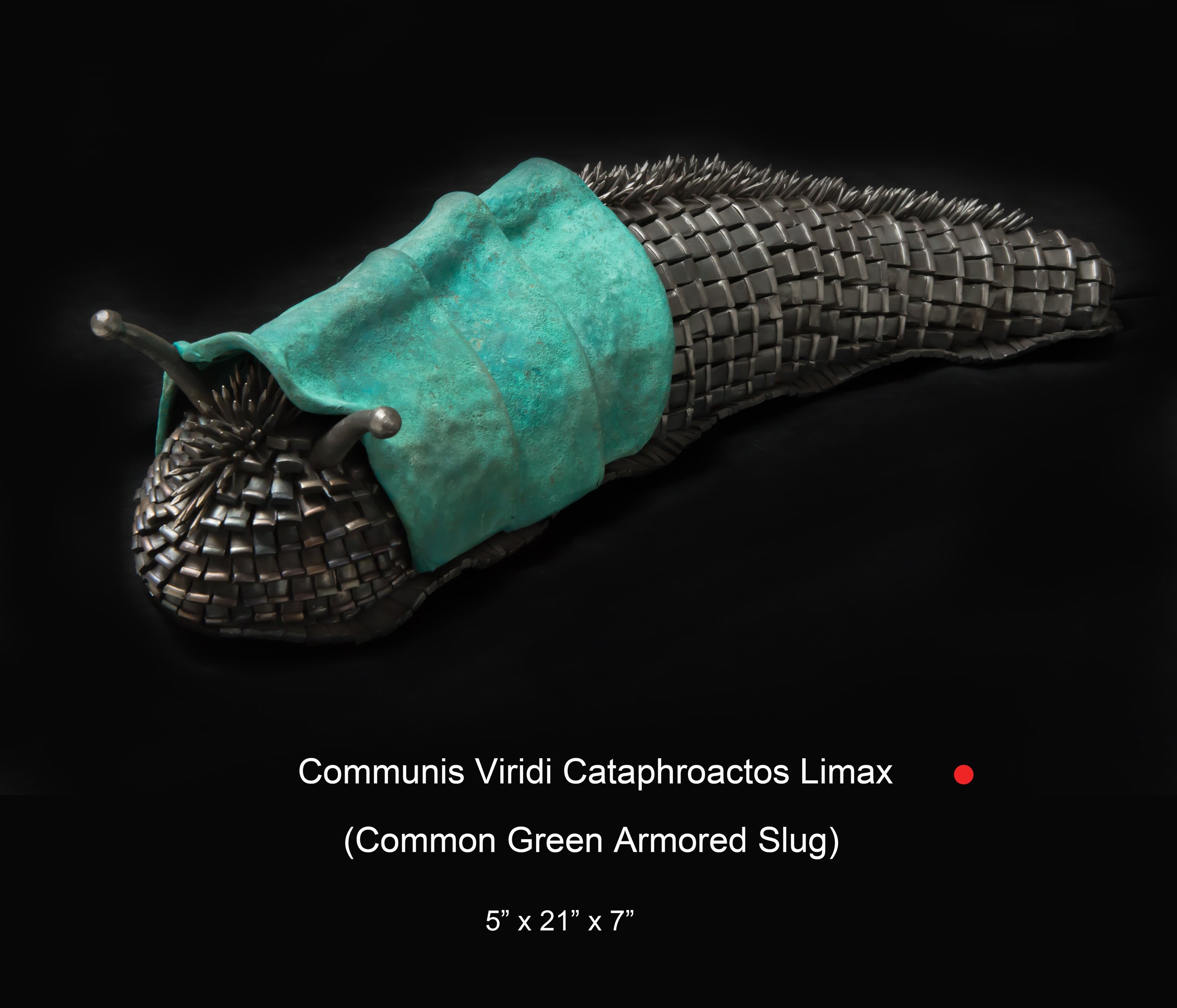 Dennis Robert-Communis Viridi Cataphractos Limax.jpg