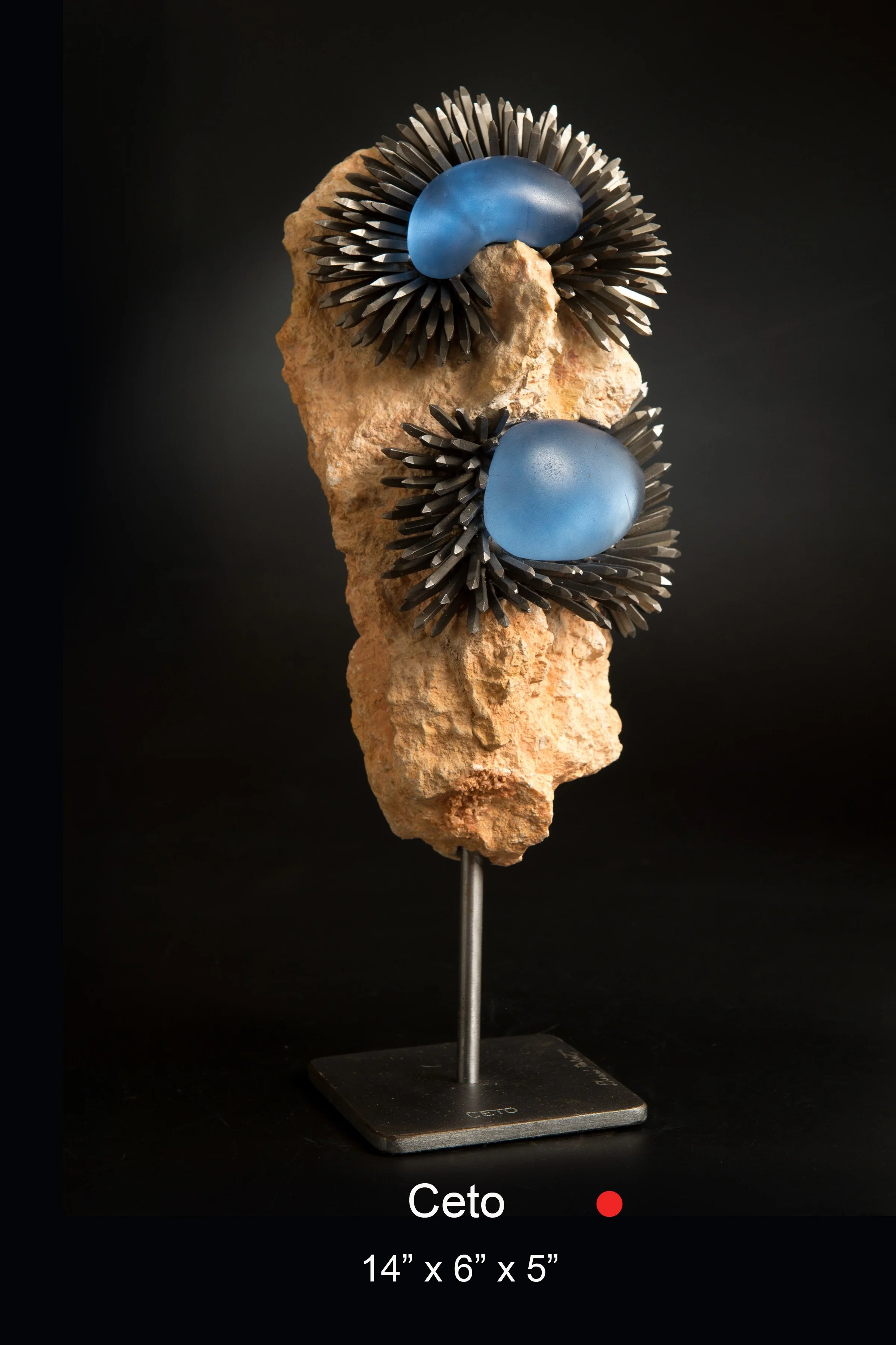 Dennis Robert-Ceto.jpg