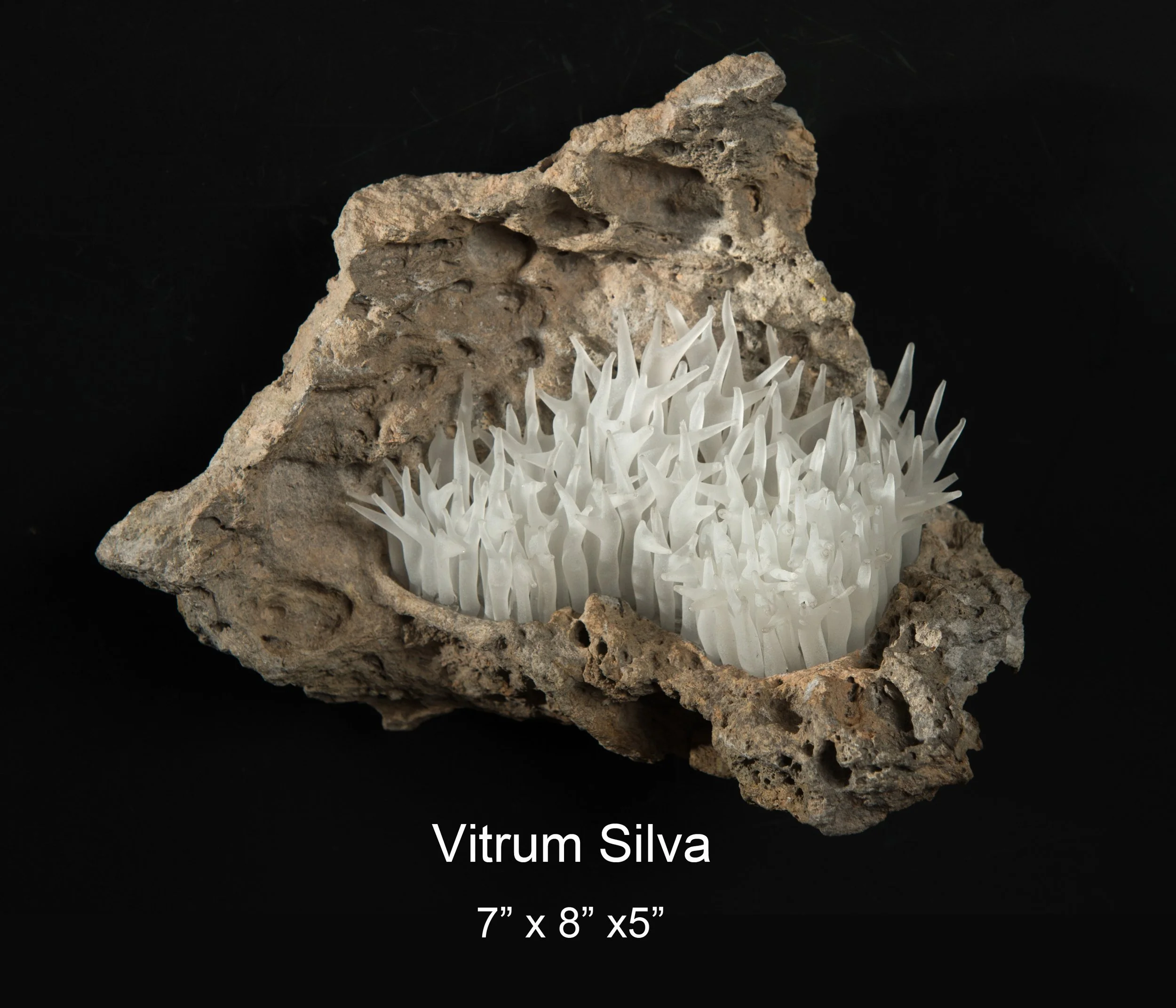 Dennis Robert-Vitrum Silva.jpg