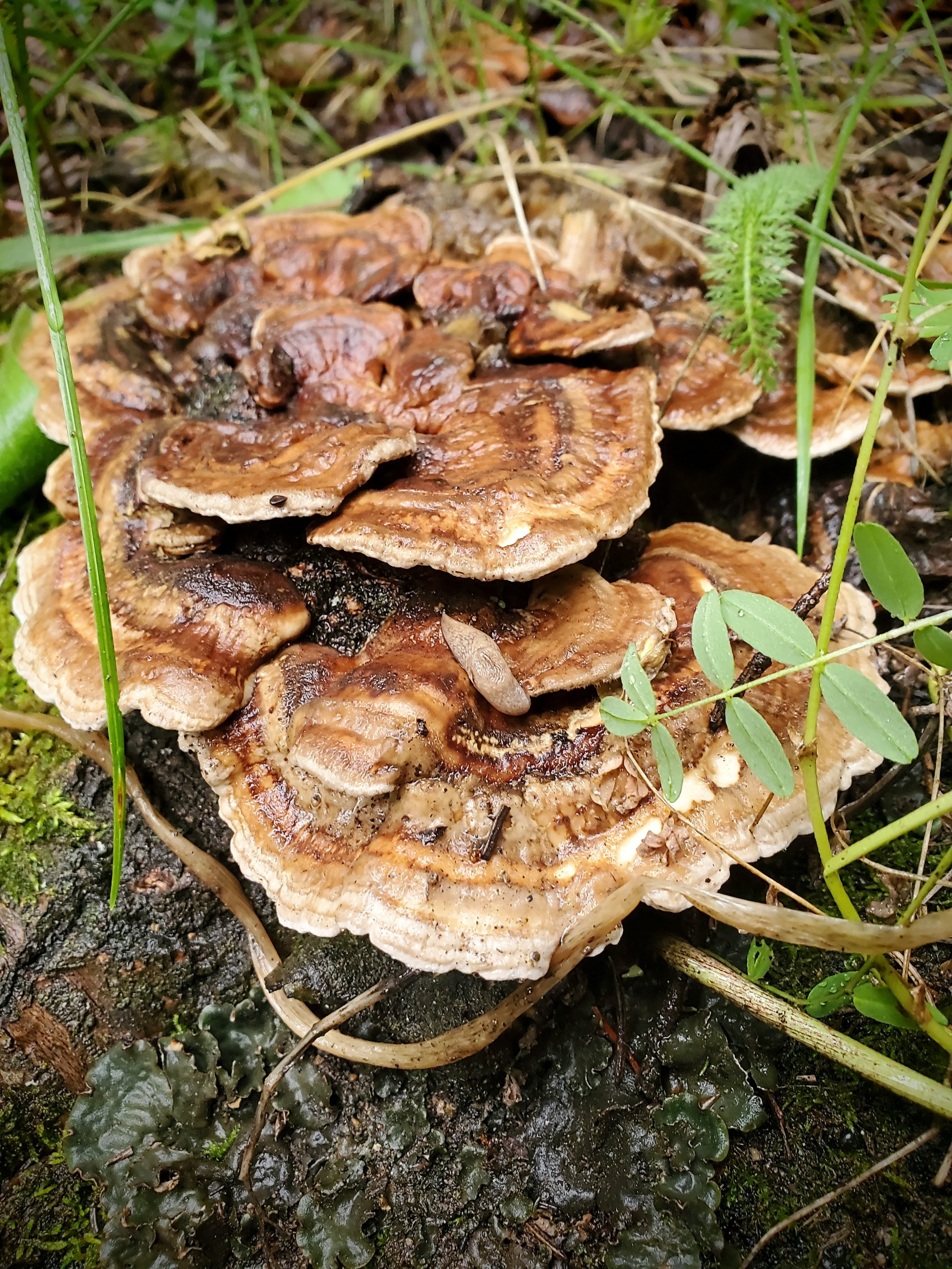 20230802_152436~2.jpg