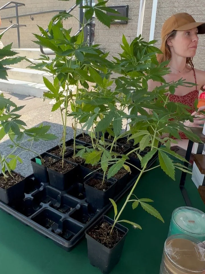 We&rsquo;re here til 4!
.
.
.
.
.
.
.
.
.
.
.
.
.
#kingstonny #kingstonnewyork #beaconny #albanyny #midhudsonvalley #hudsonvalley #hudsonvalleyny #hudsonvalleynewyork #westchesterny #upstateny #hudsonvalleyhappenings #woodstockny #stoneridgeny #pough