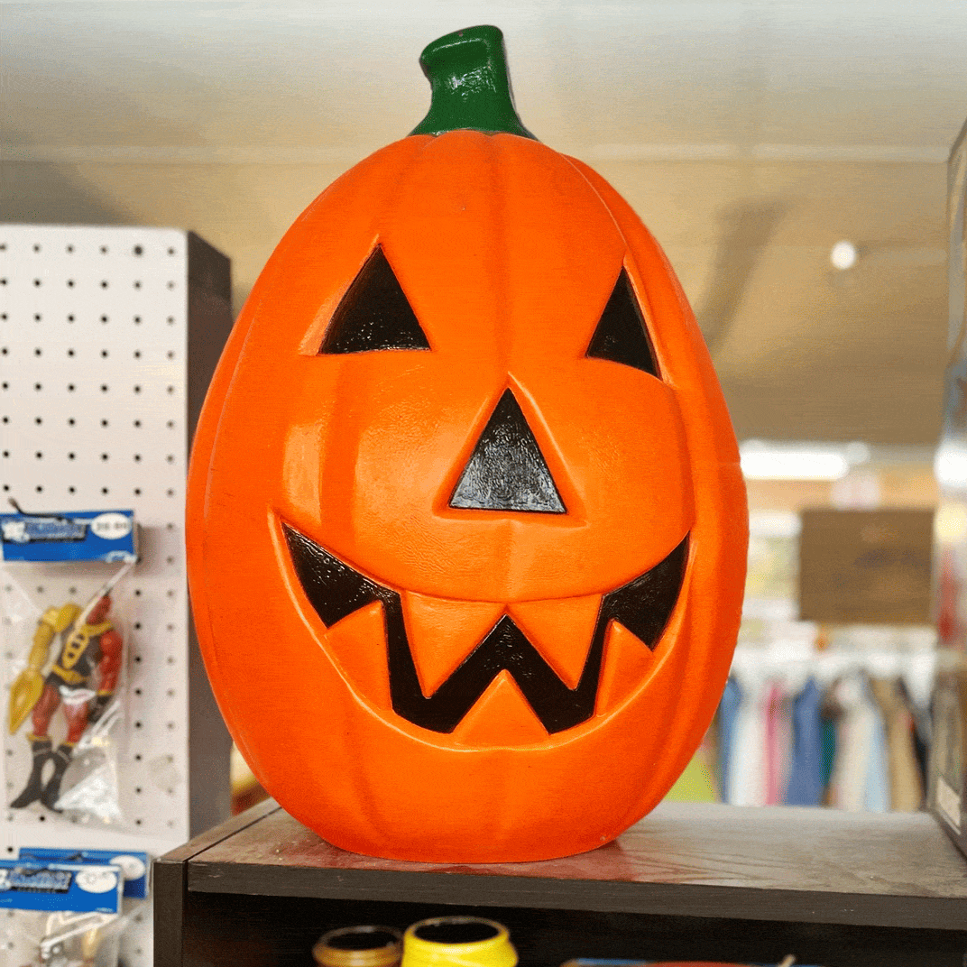 🎃 It’s Owl Favorite Time of the Year!