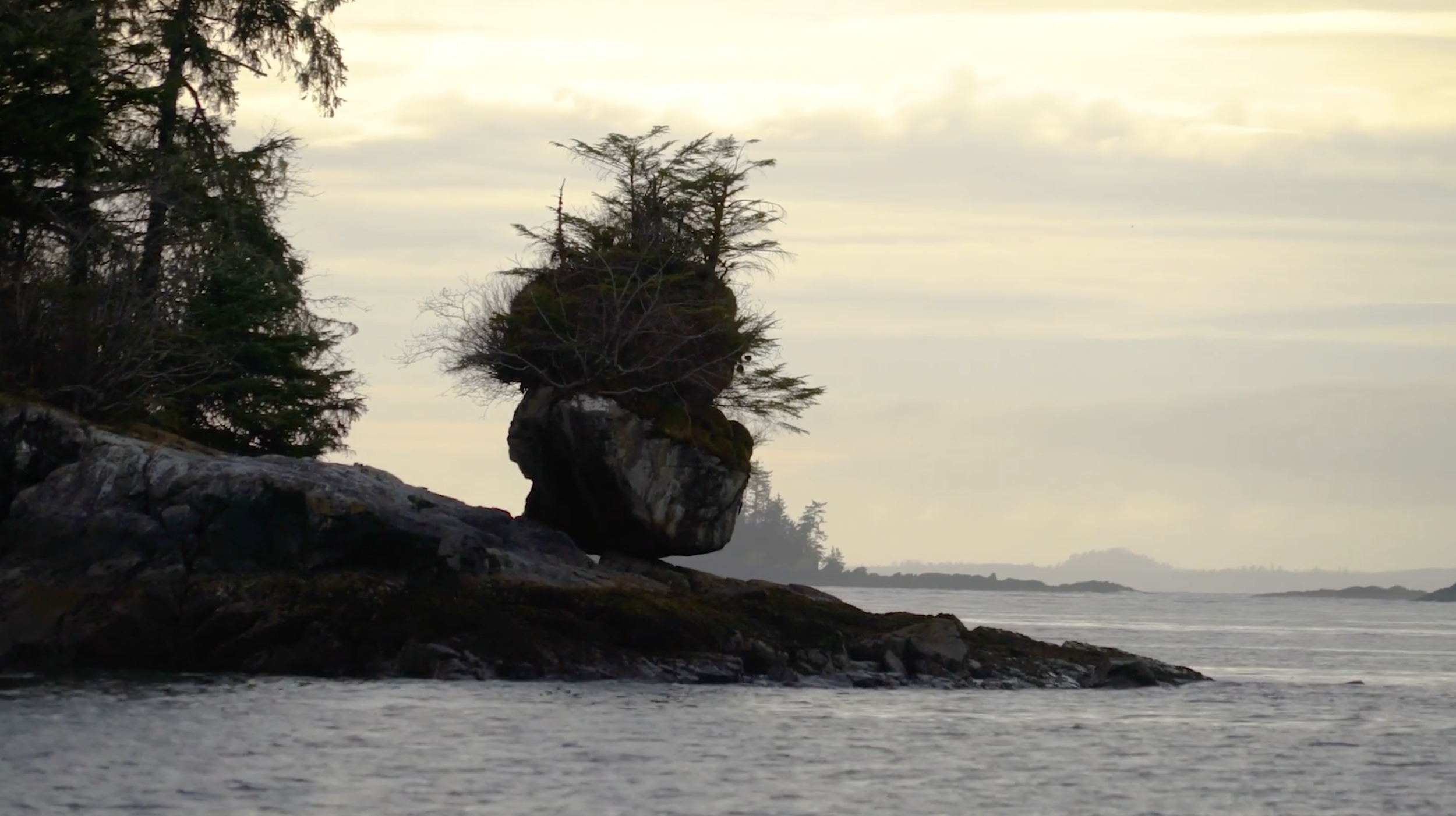 Screenshot 2024-03-12 at 5.41.10 PM.png