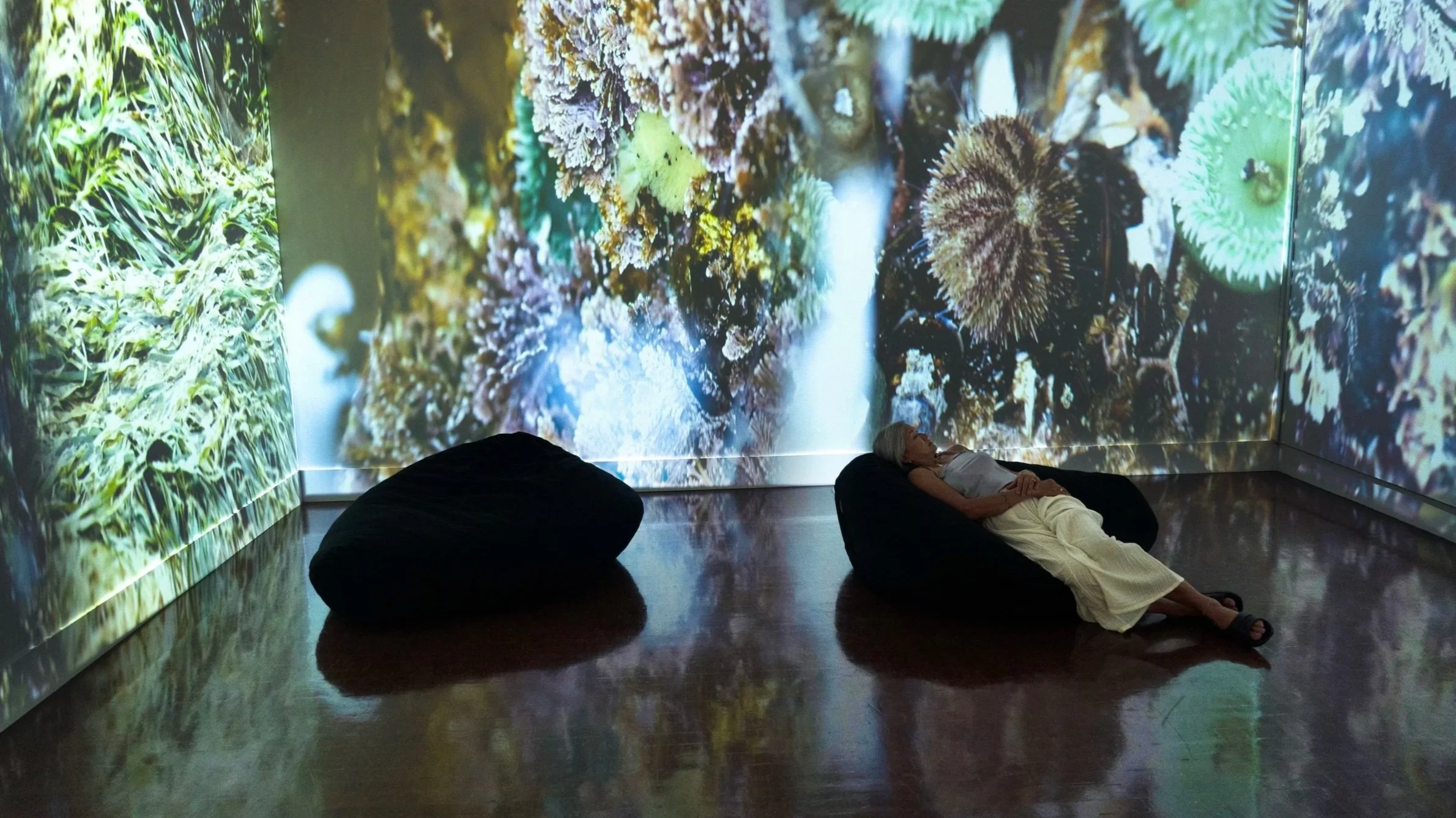 tide pool room II with Julie Zhu (2026)