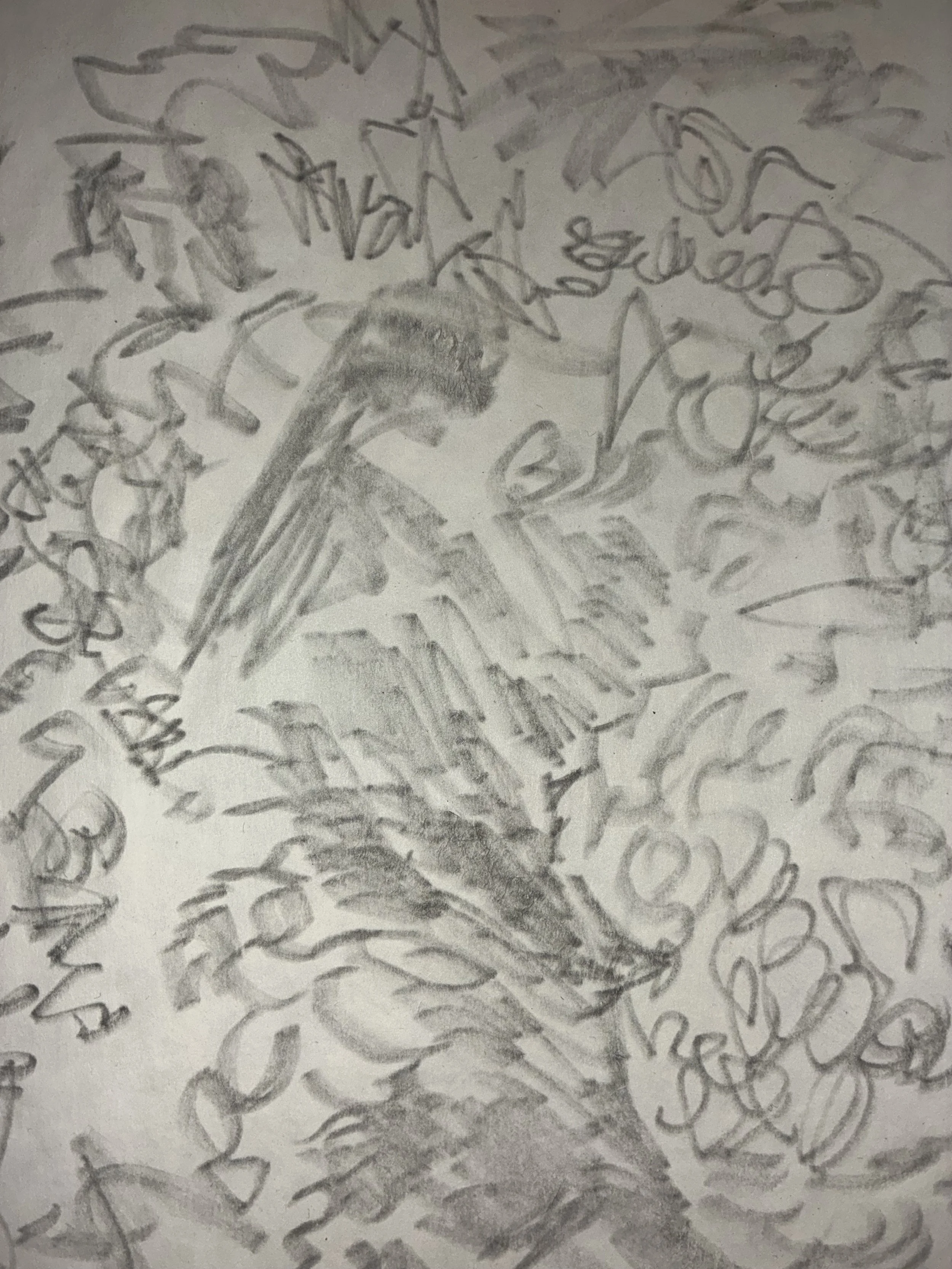 IMG_1472.jpeg