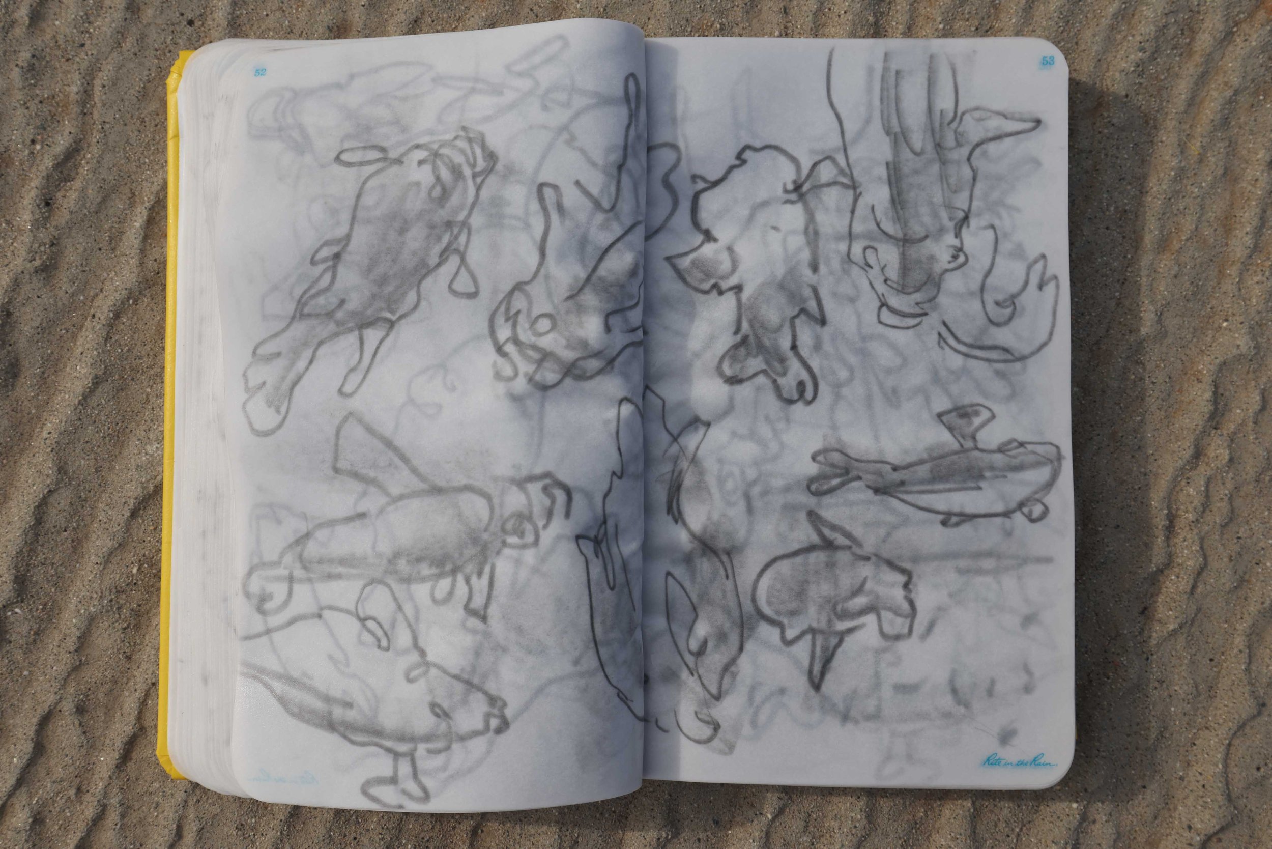 breath drawings (2025-2026)