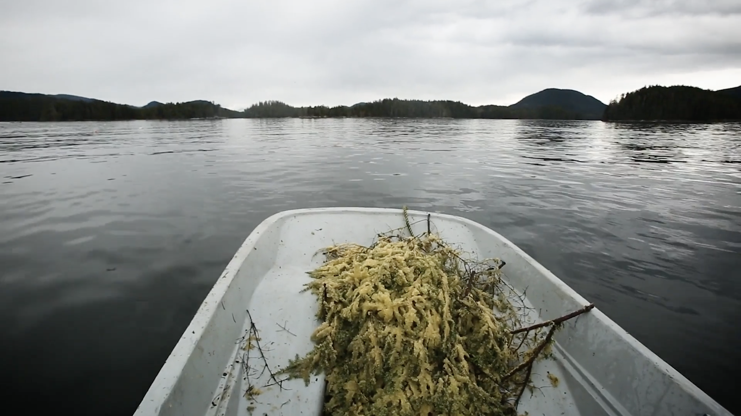 Screenshot 2024-03-12 at 5.41.52 PM.png