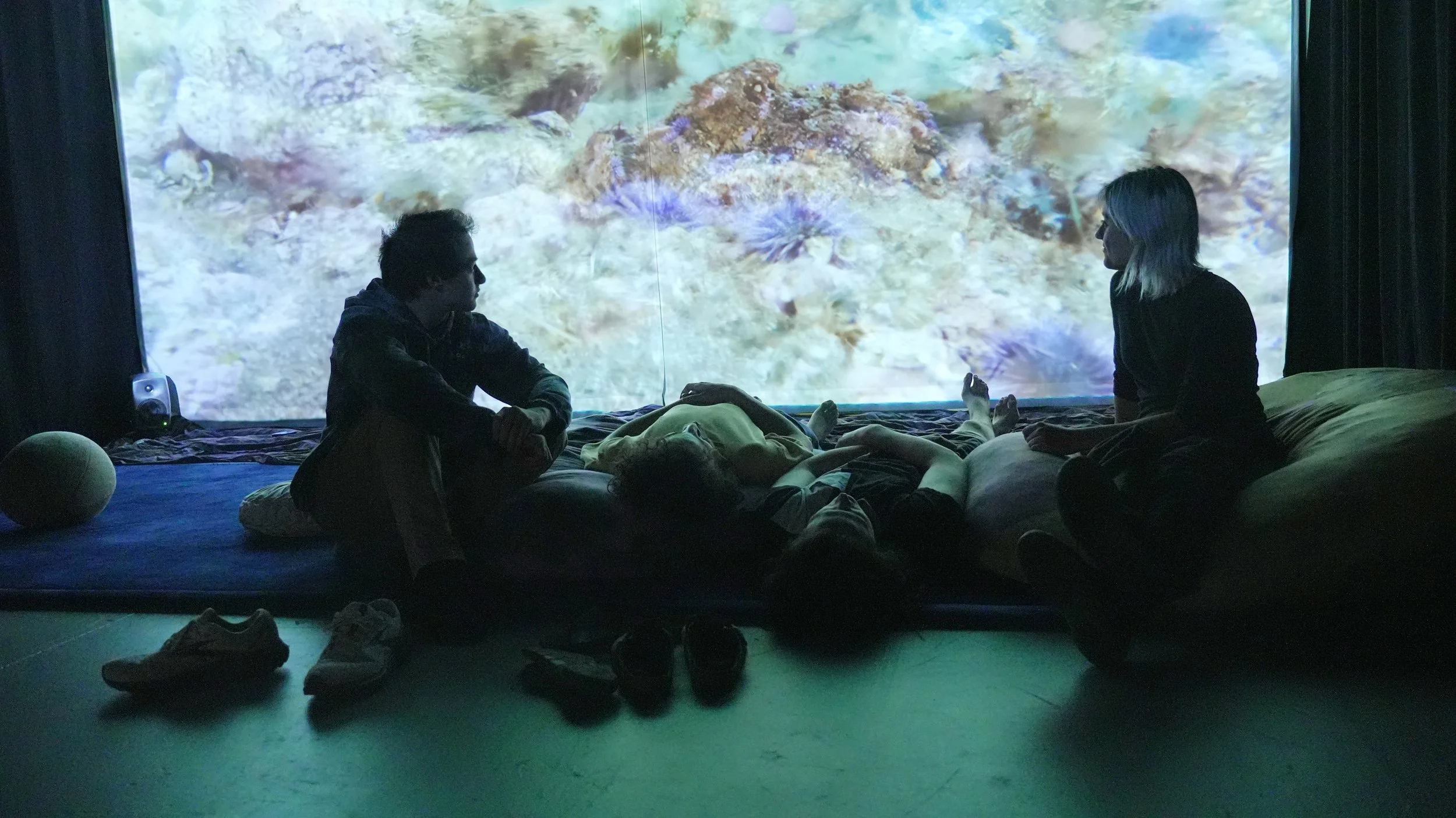 kelp dreams with Zeynep Abes (2025)