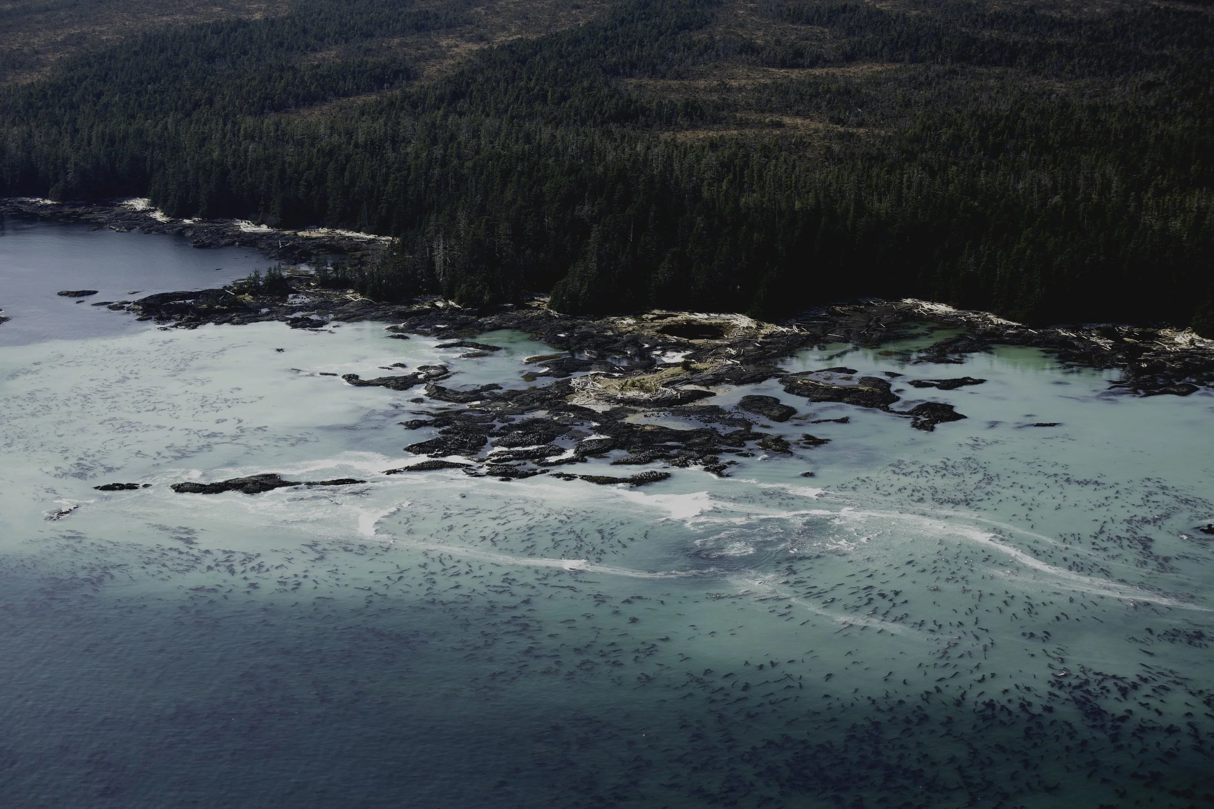 kruzof-shore-_5000.jpg