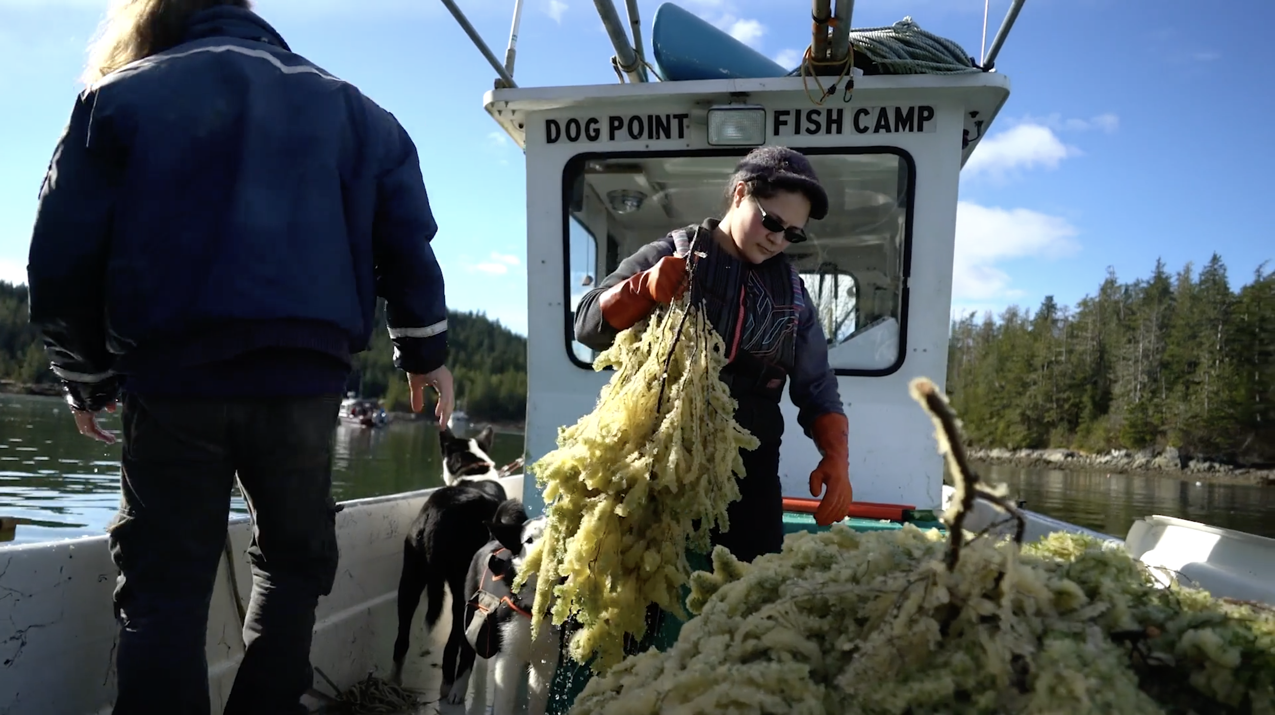 Screenshot 2024-03-12 at 5.42.19 PM.png