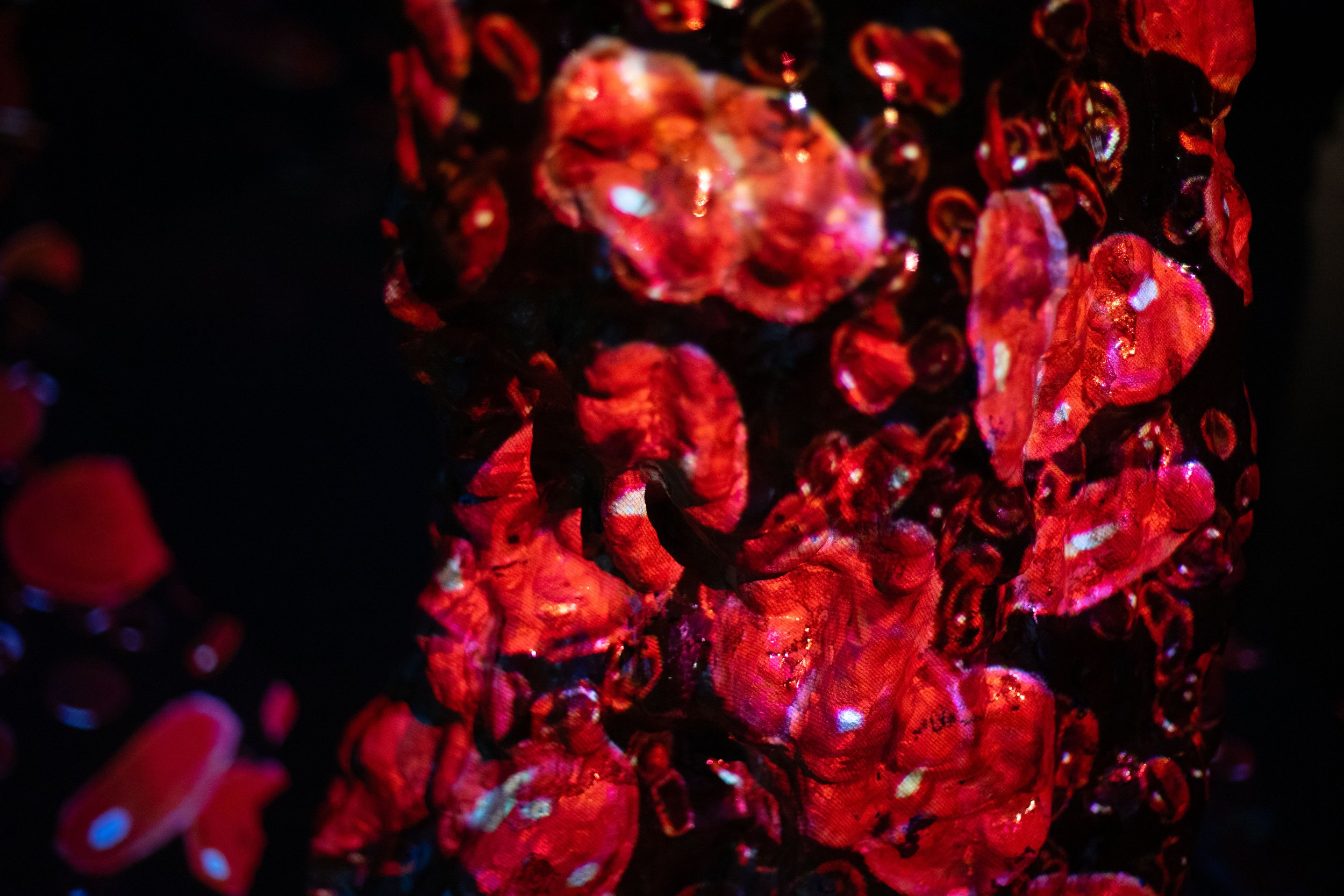 TS_03939.jpg