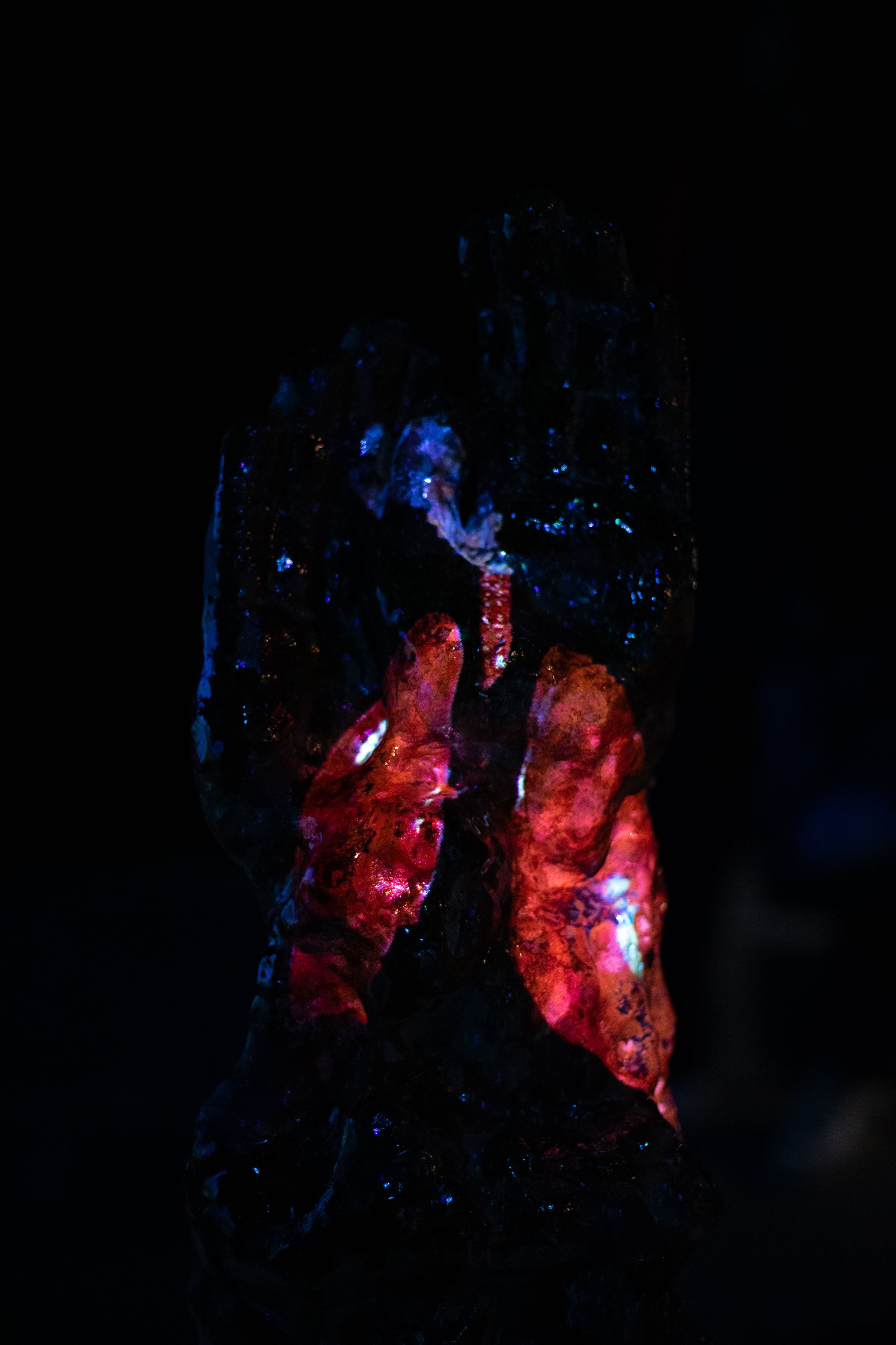 TS_03944.jpg