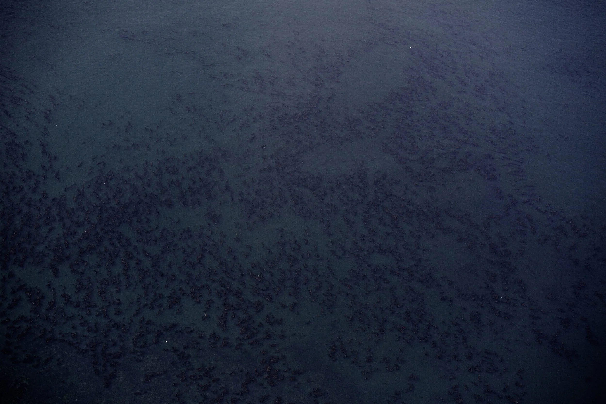 late summer (ongoing)