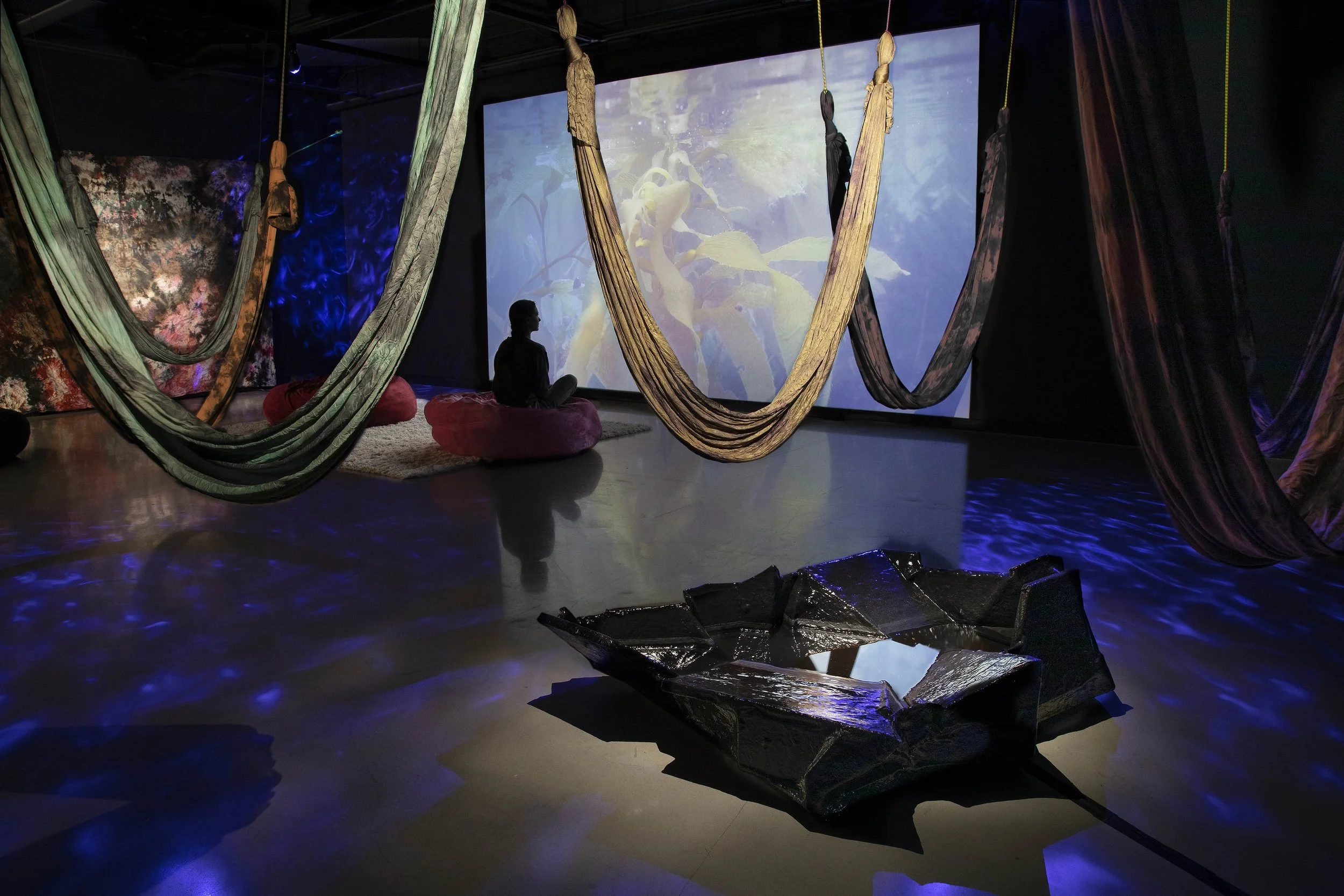 tide pool room (2022)