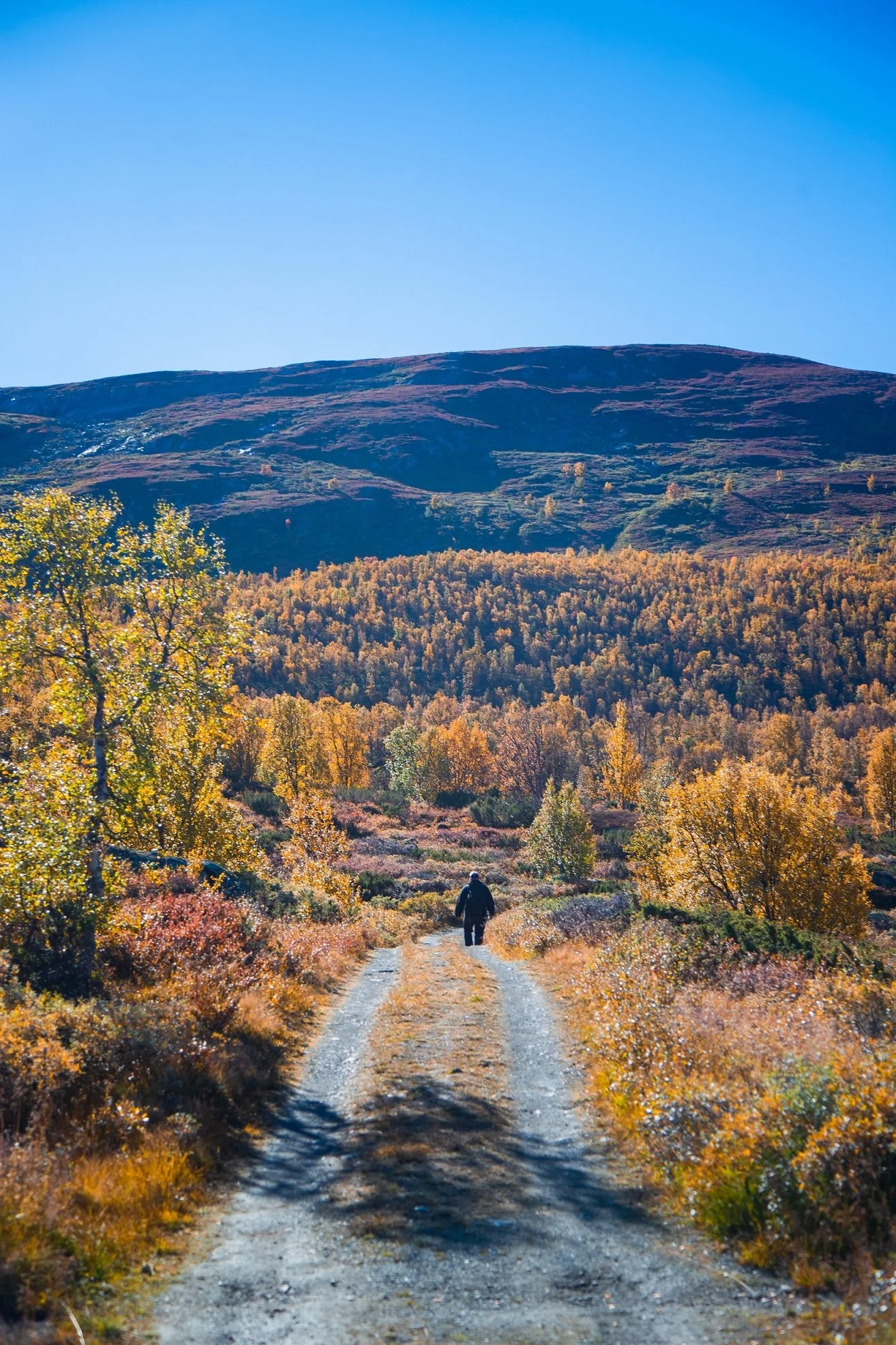 Kongevegen over Filefjell fra Kyrkjestølen
