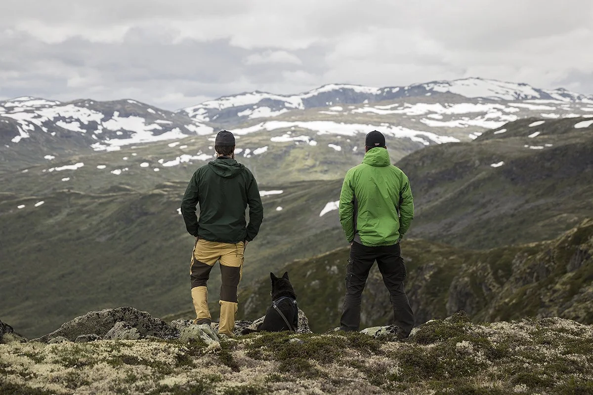 Utsikt på Filefjell
