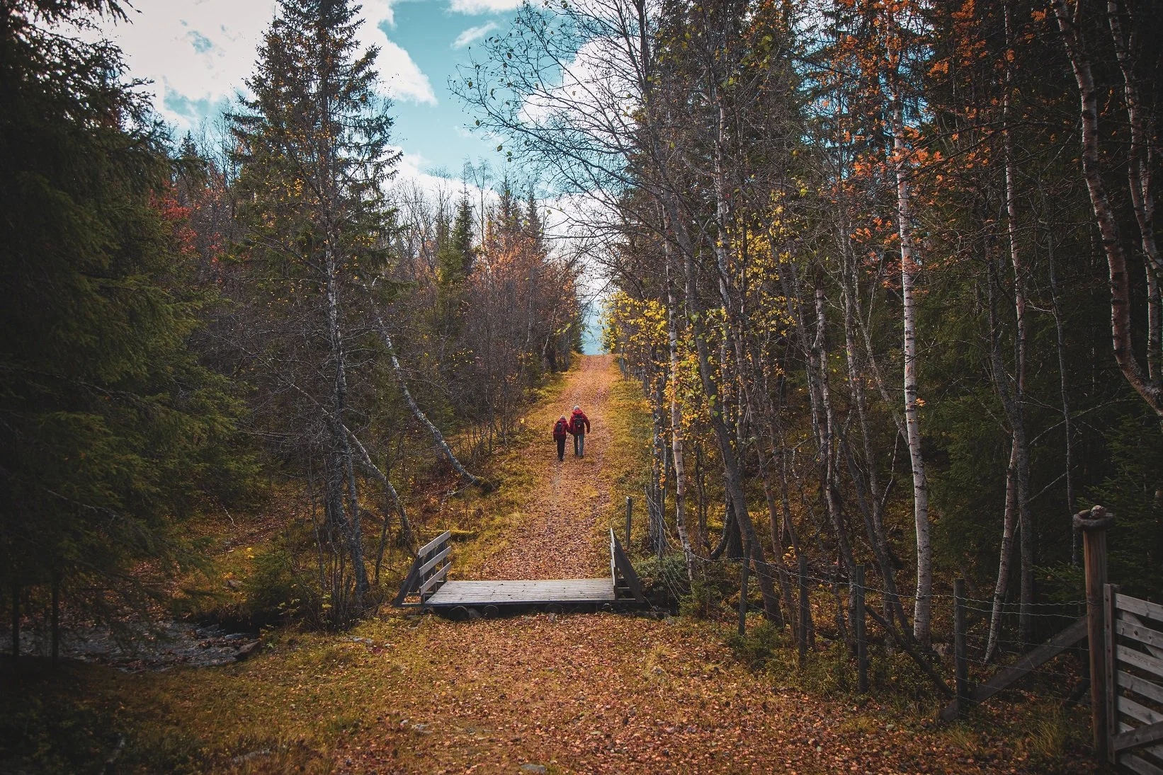 Kongevegen over Filefjell ved vang