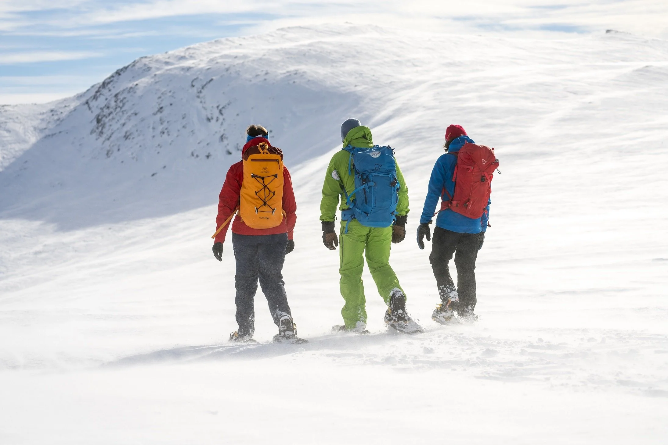 Guidet trugetur i området Tyin - Filefjell